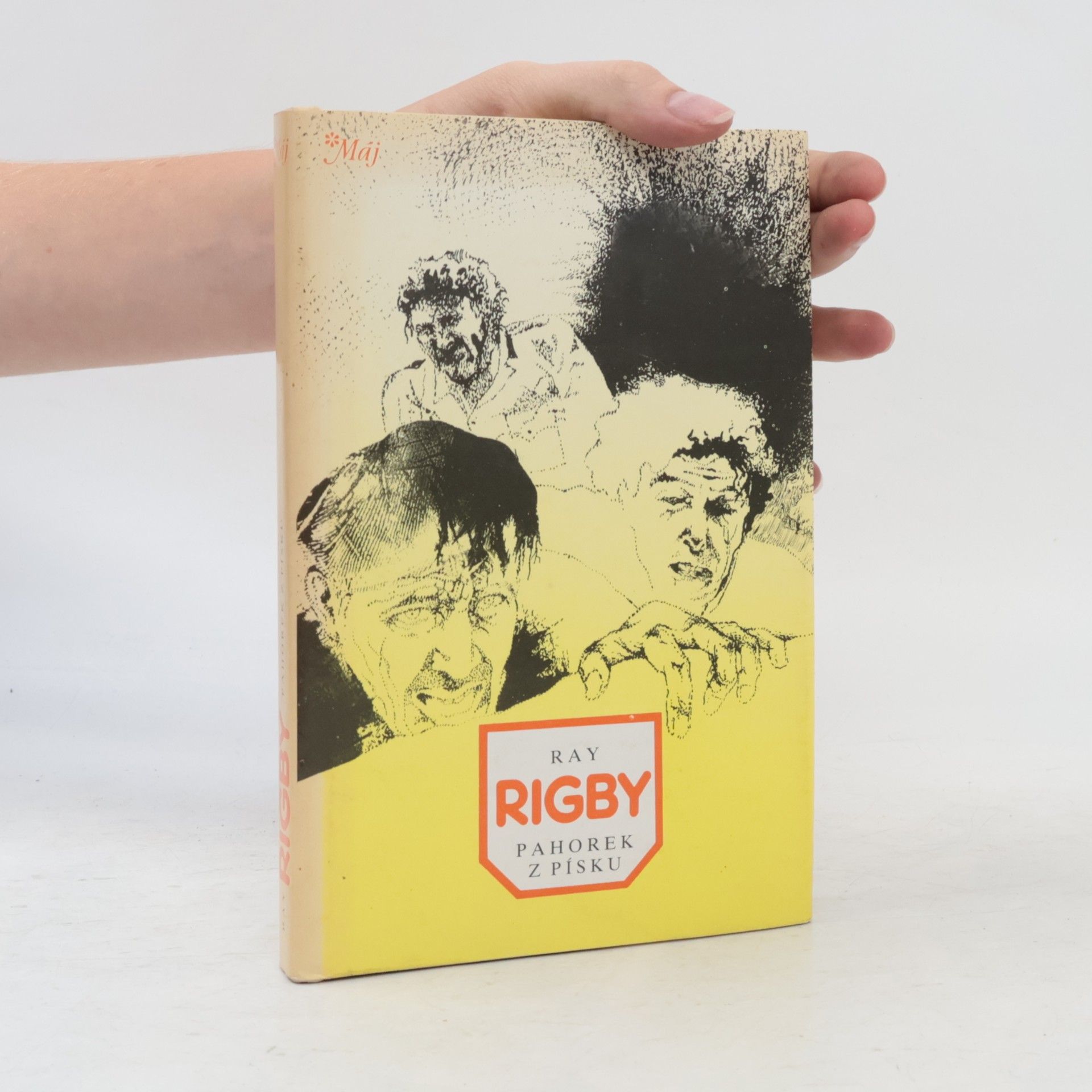 Ray Rigby Pahorek z písku