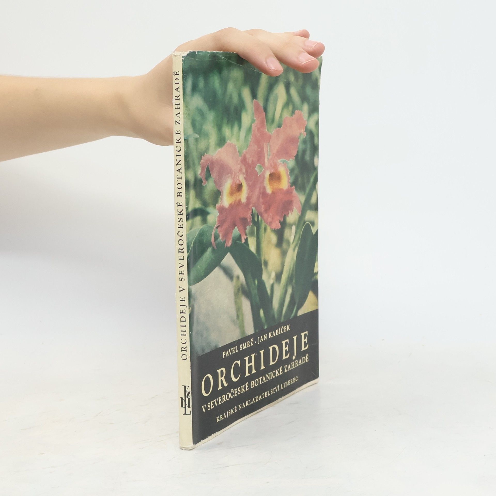kolektiv Orchideje
