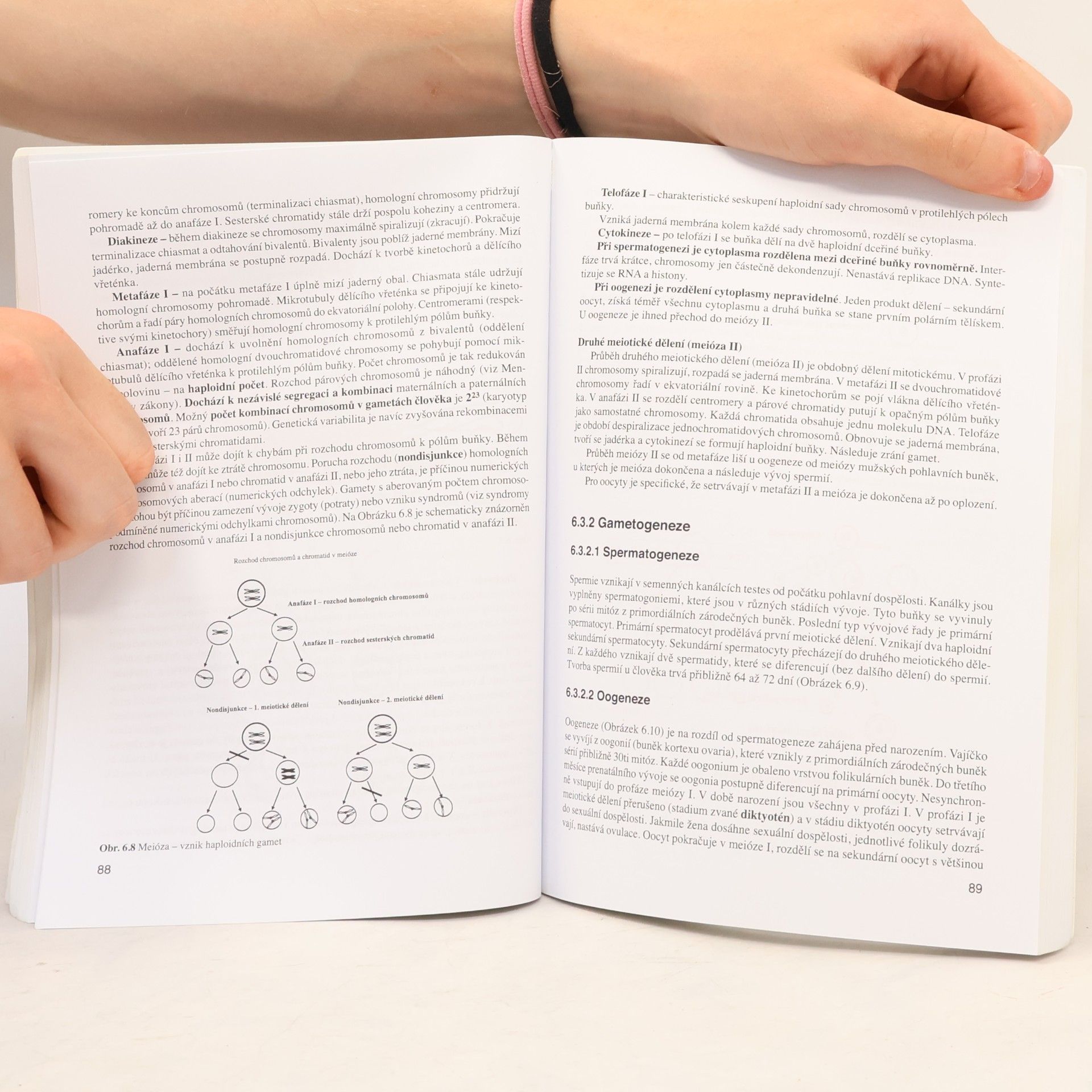Berta Otová Základy biologie a genetiky člověka