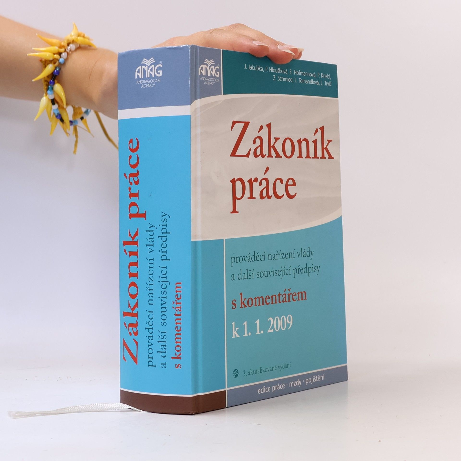 Jaroslav Jakubka Zákoník práce : prováděcí nařízení vlády a další související předpisy : s komentářem k 1. 1. 2009