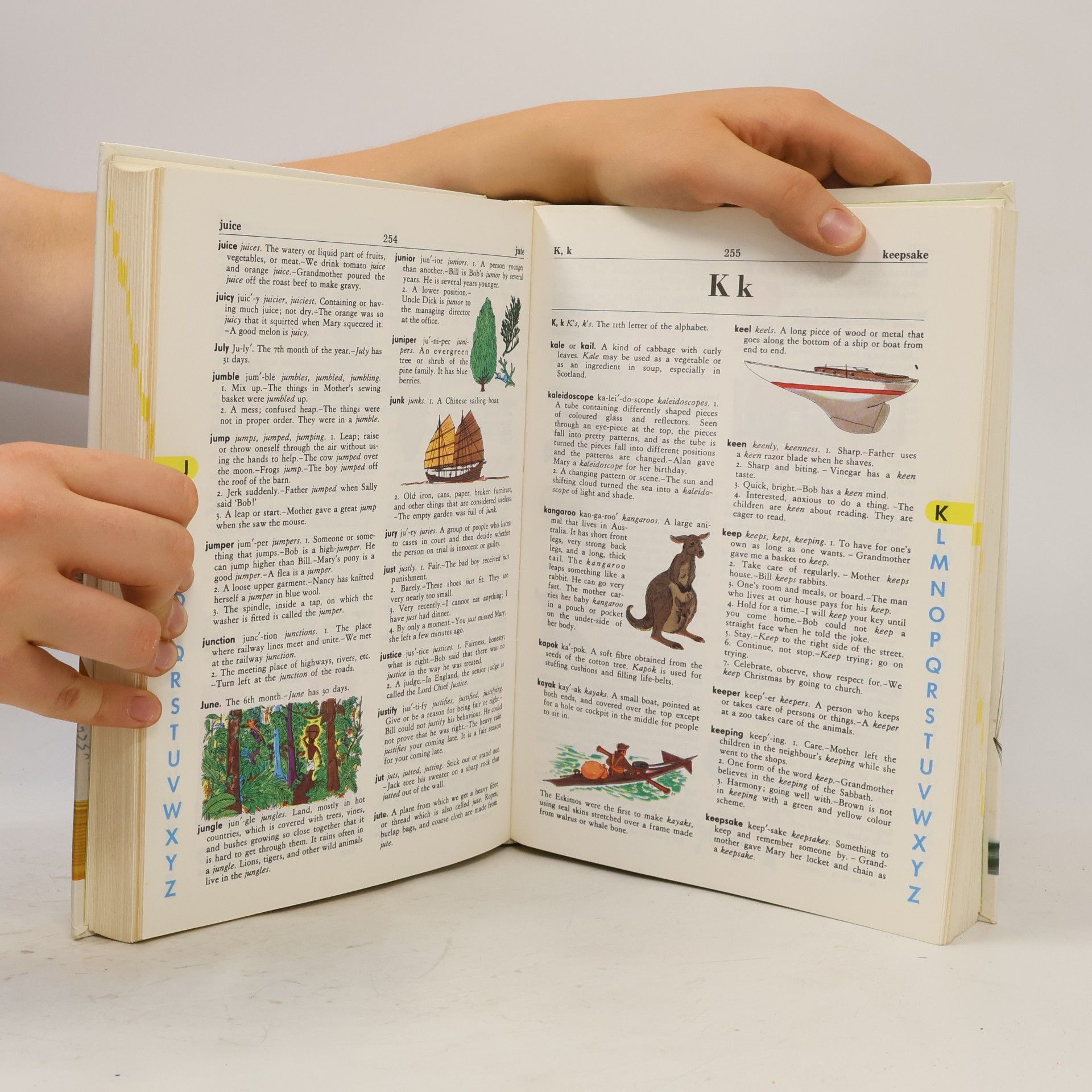 Stuart A. Courtis The Giant All-Colour Dictionary