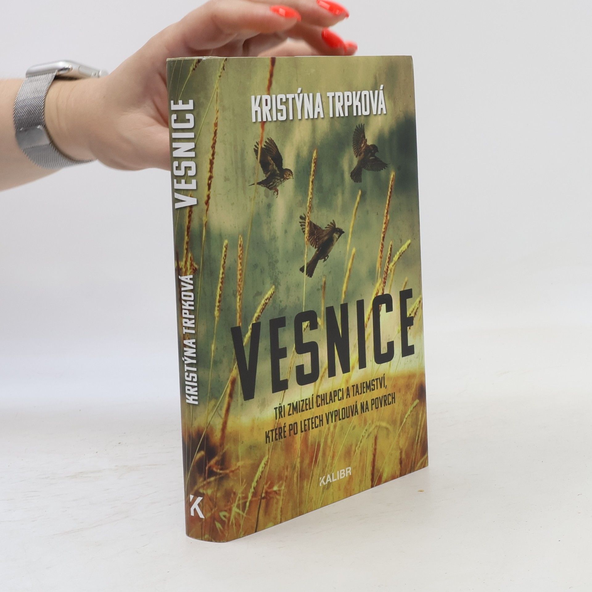 Vesnice