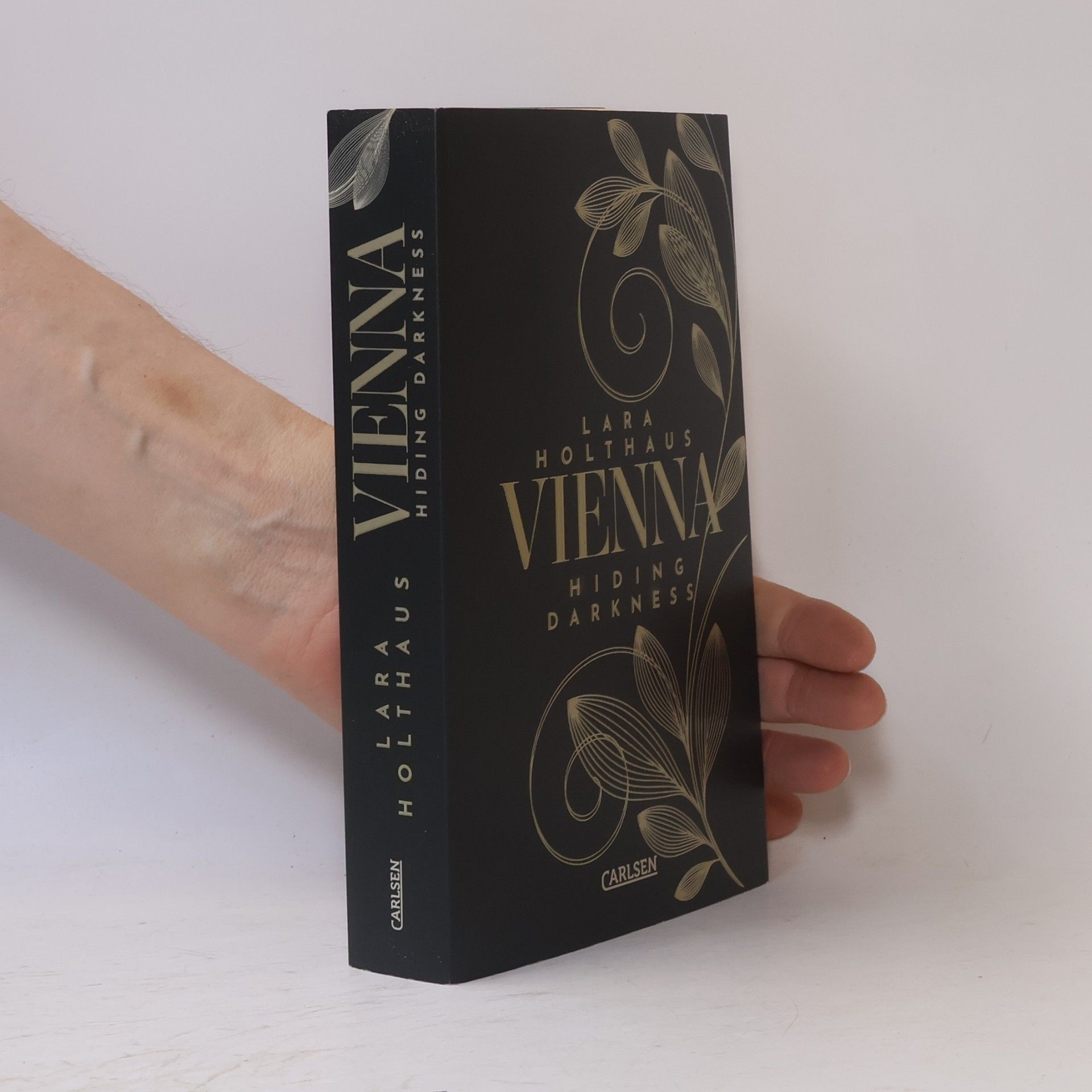 Lara Holthaus Vienna 2. Hiding Darkness