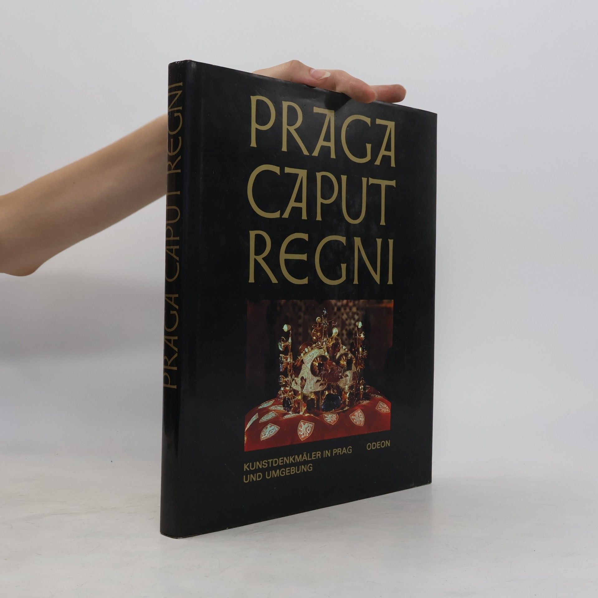 Karel Neubert Praga caput regni. Kunstdenkmäler in Prag und Umgebung