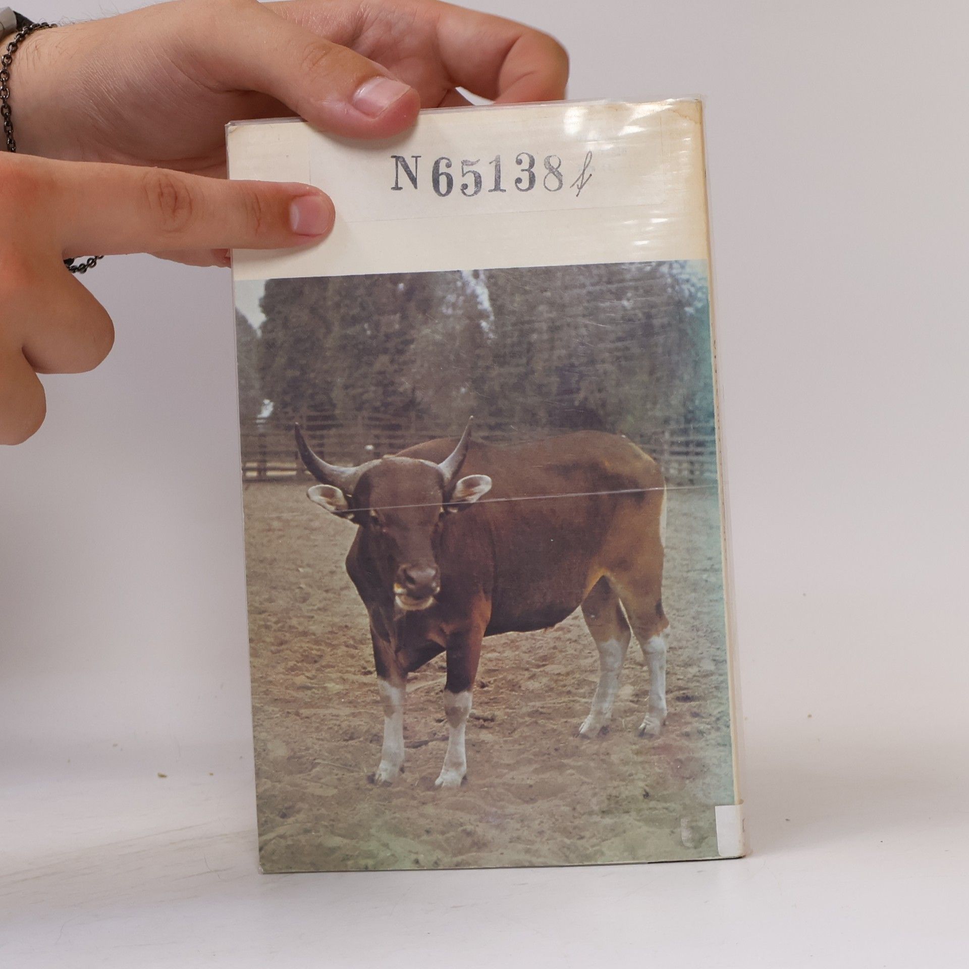 Jiří Volf Zvířata z celého světa 11. Tuři