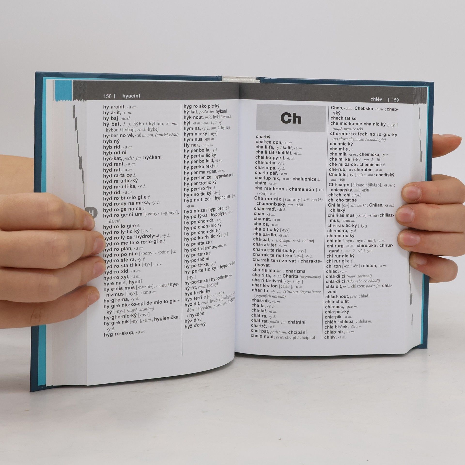 Autores varios Pravidla českého pravopisu