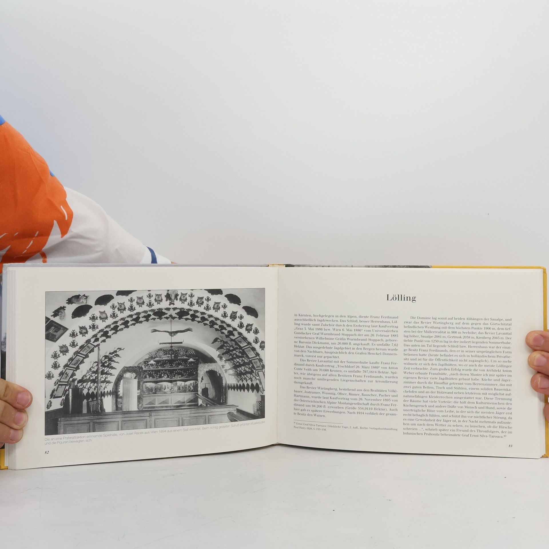 Wladimir Aichelburg Der Thronfolger und die Architektur