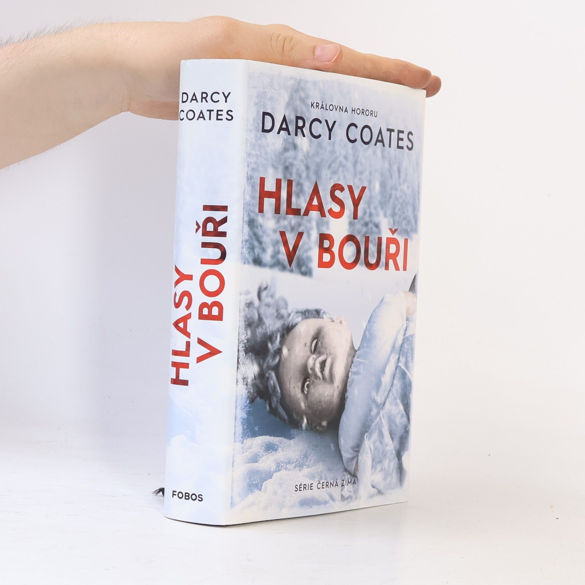 Darcy Coates Hlasy v bouři