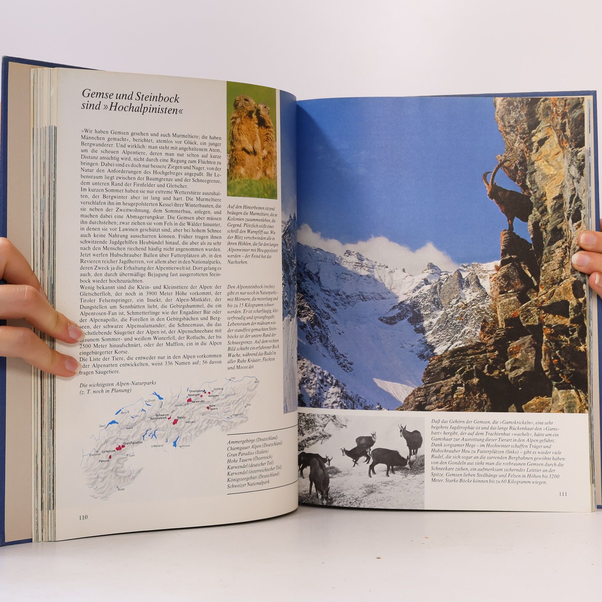 Kolektív autorov Wunderwelt der Alpen