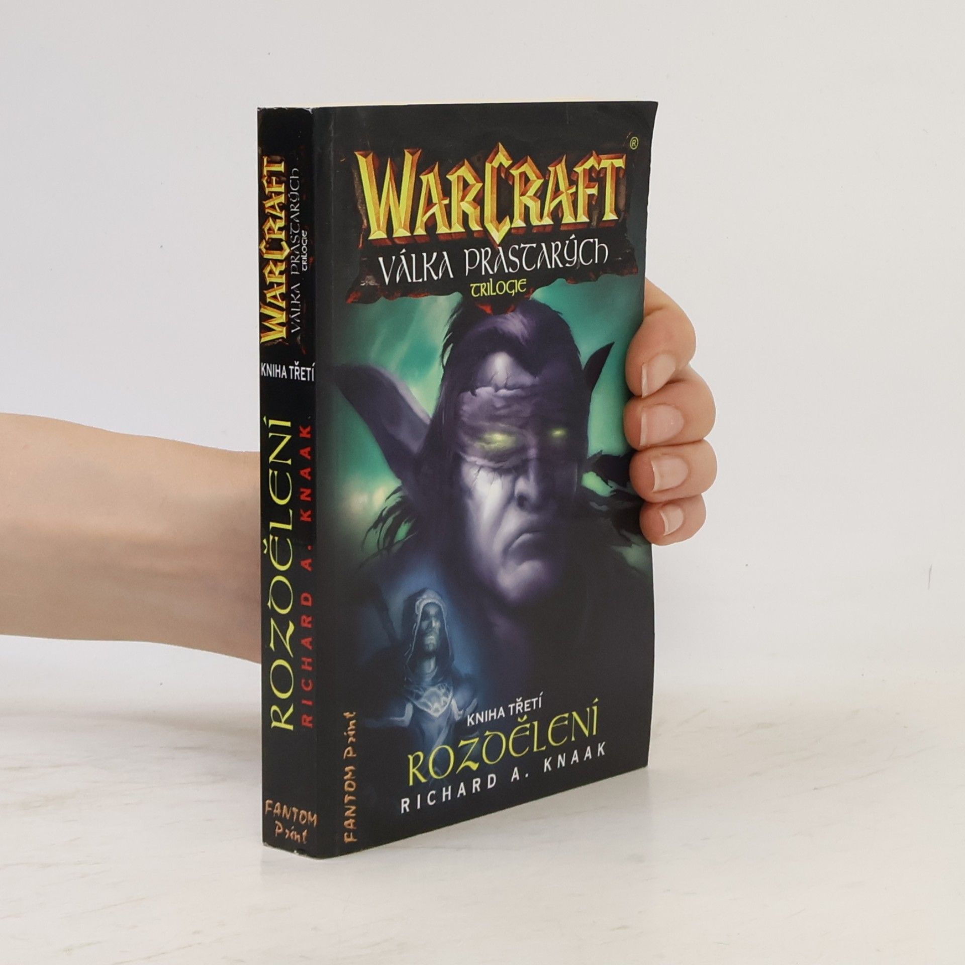 Richard A. Knaak WarCraft. Válka Prastarých 3. Rozdělení