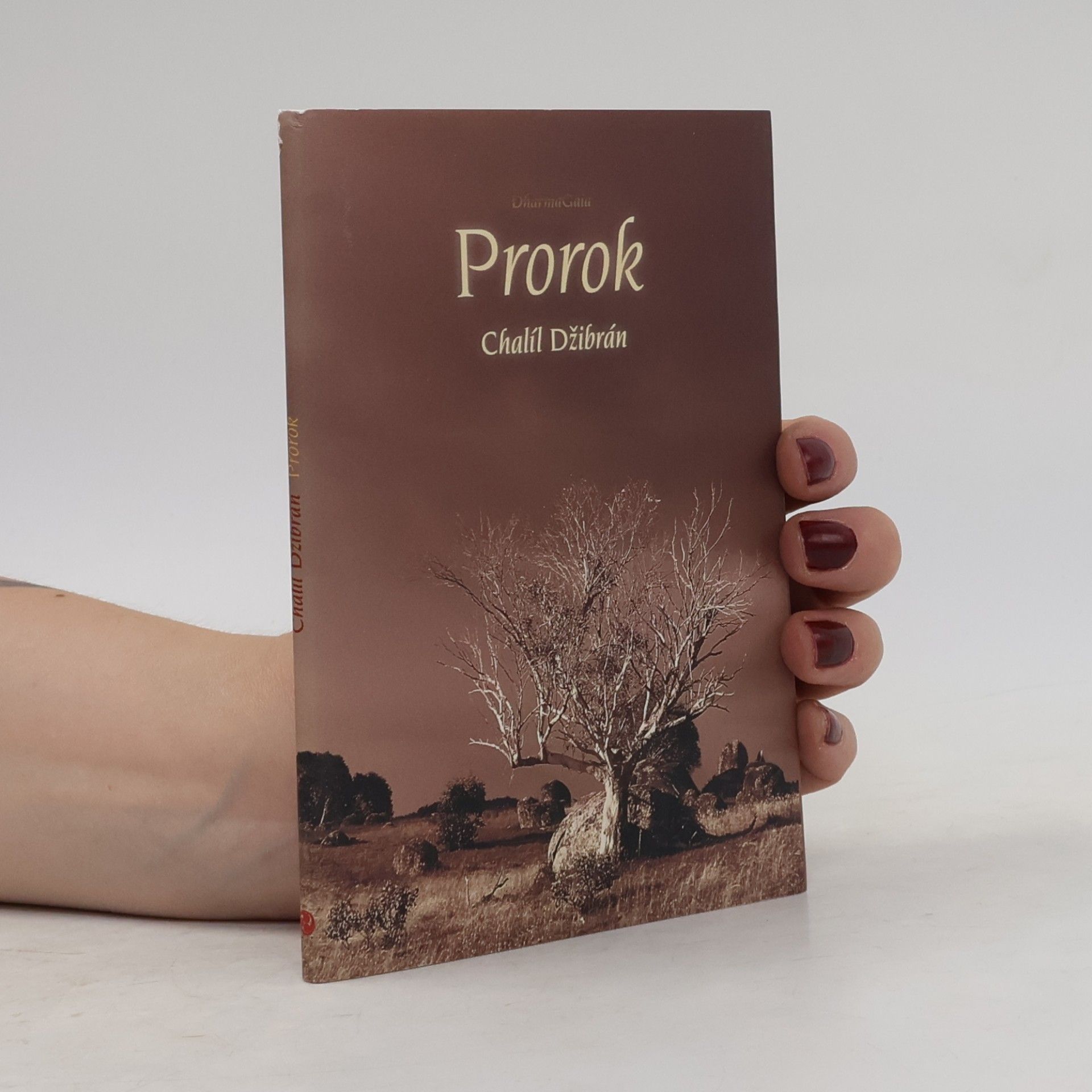 Prorok
