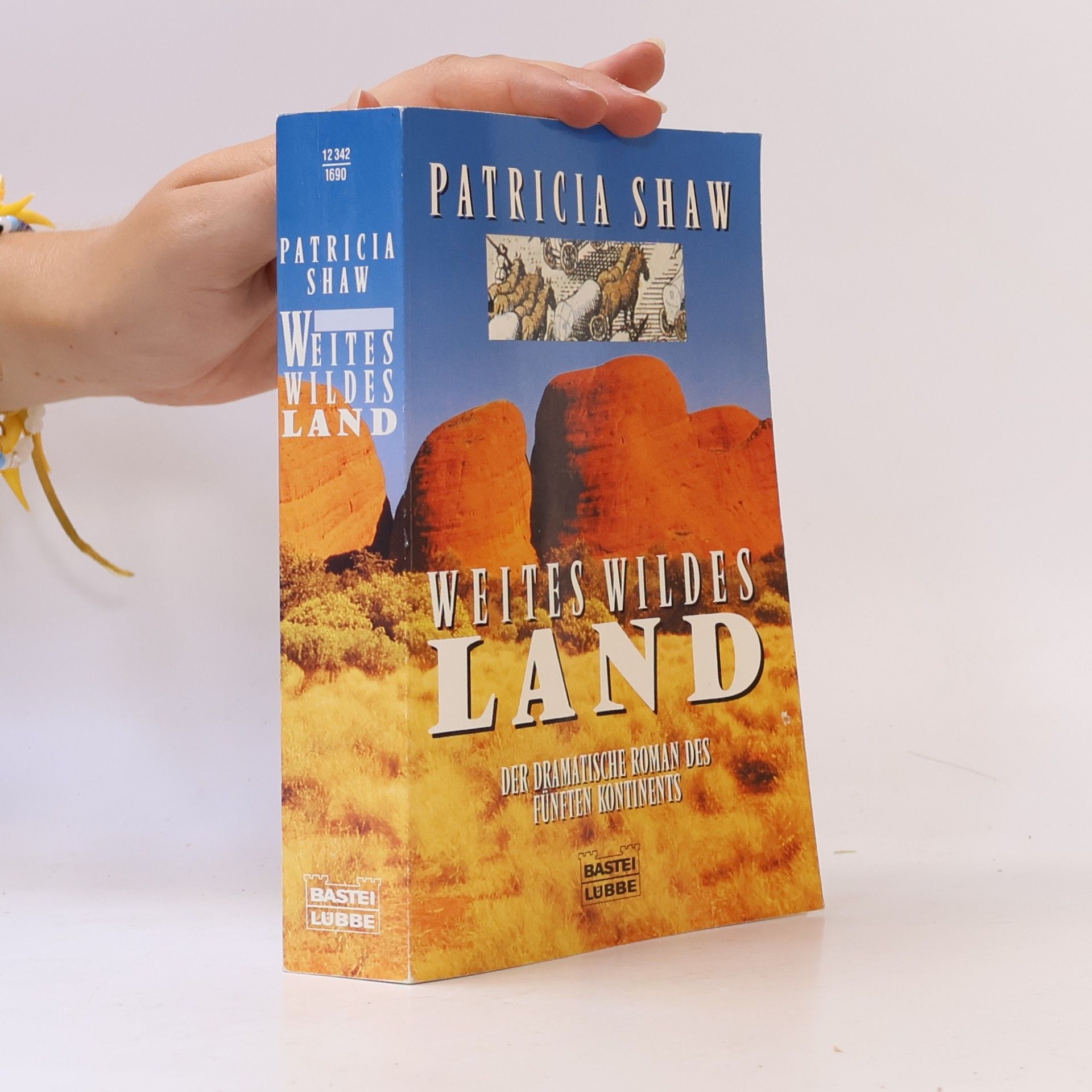 Patricia Shaw Weites wildes Land