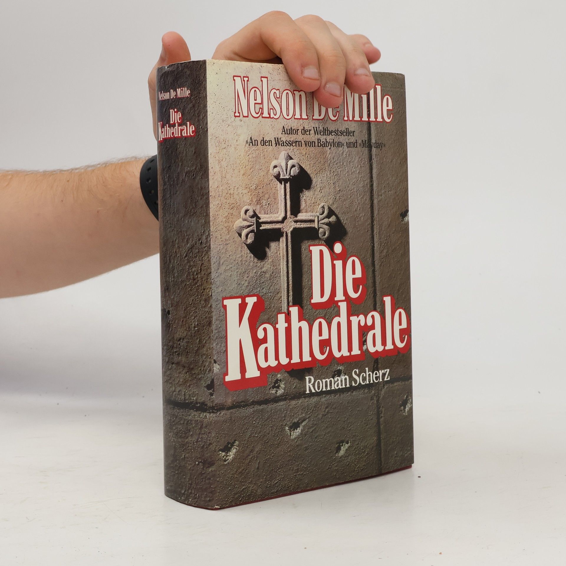 Nelson Richard DeMille Die Kathedrale