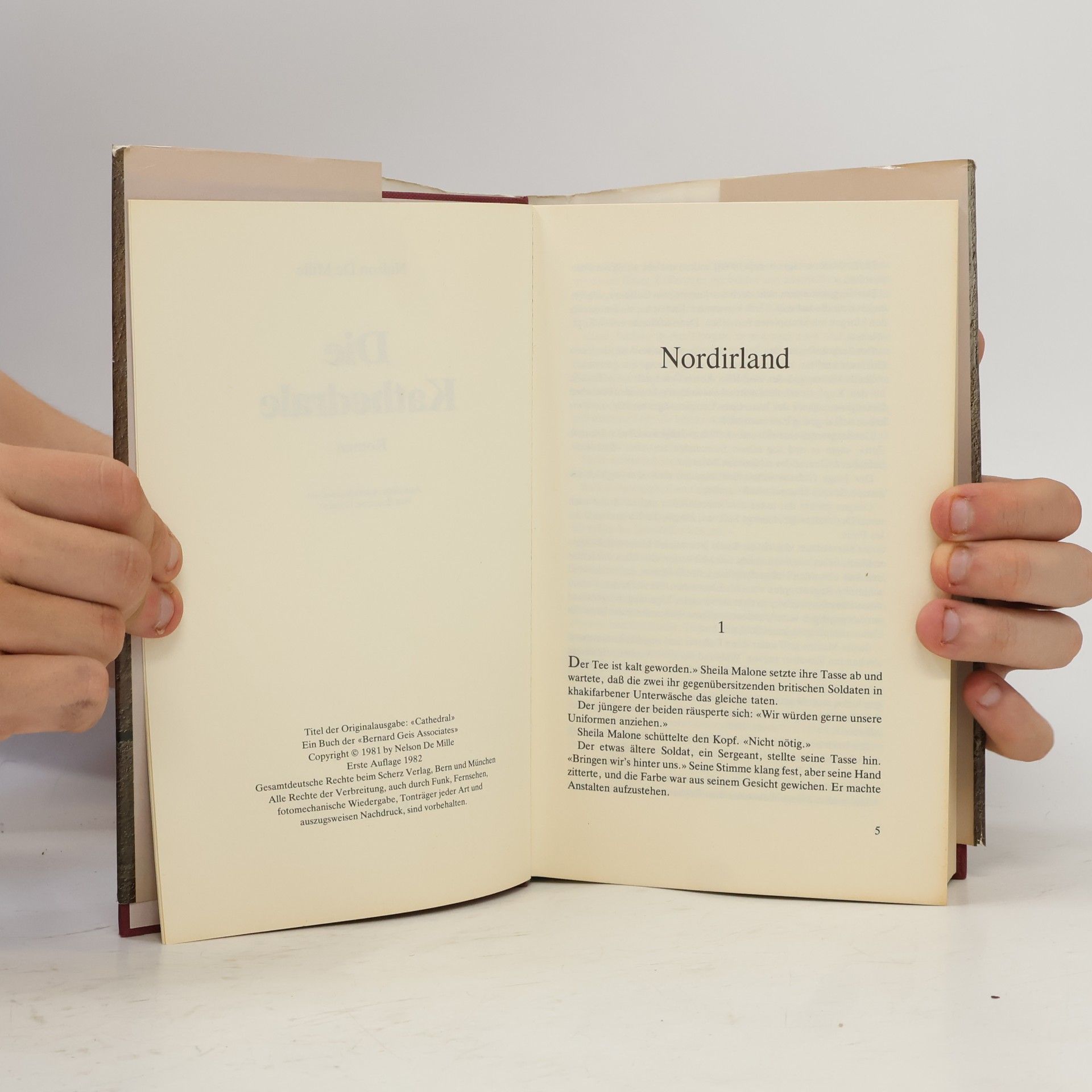 Nelson DeMille Die Kathedrale