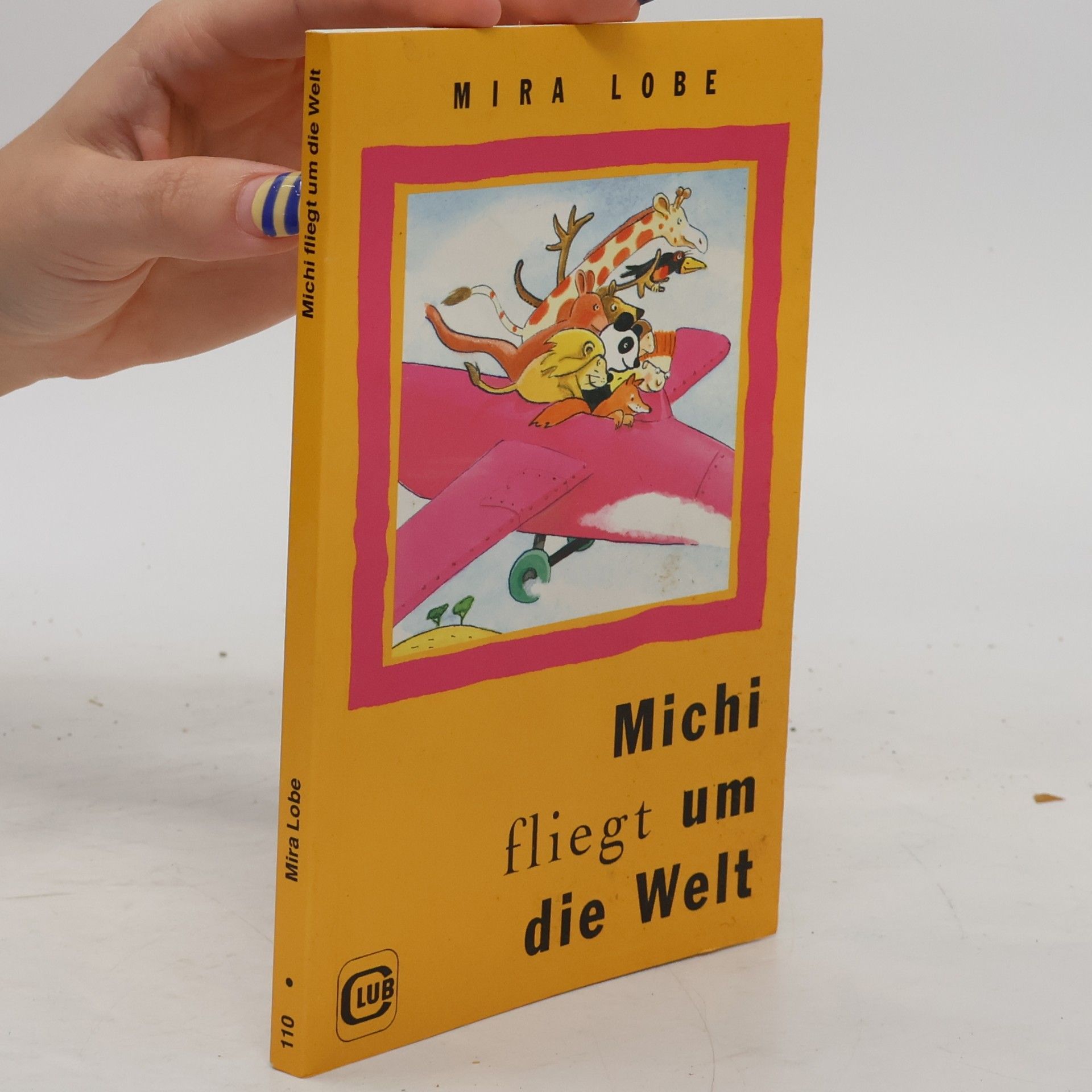 Michi fliegt um die Welt