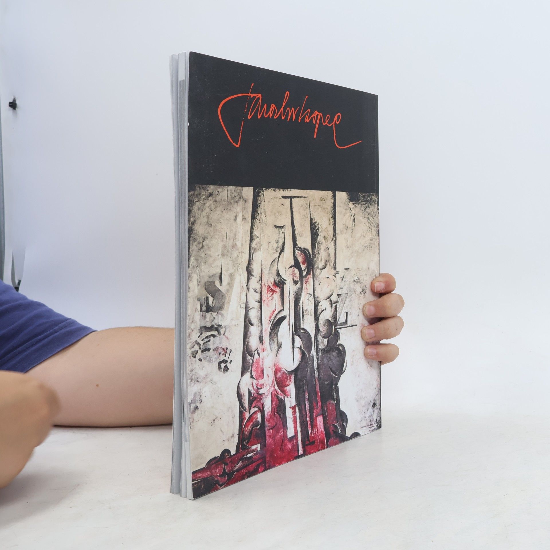 Radovan Tokarský Jaroslav Kapec - Člověk a jeho doba