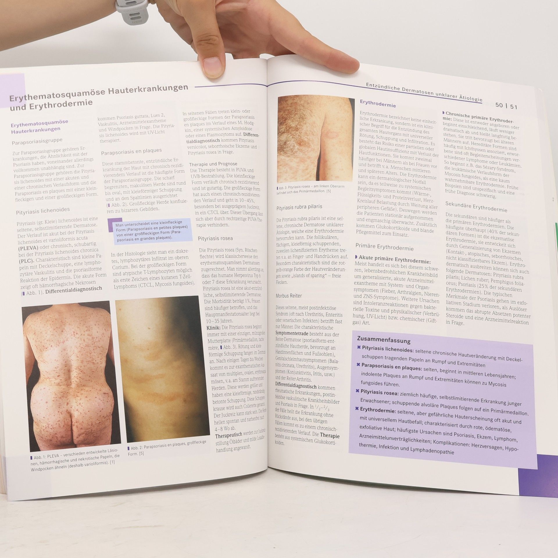 Dorothea Terhorst Basics Dermatologie