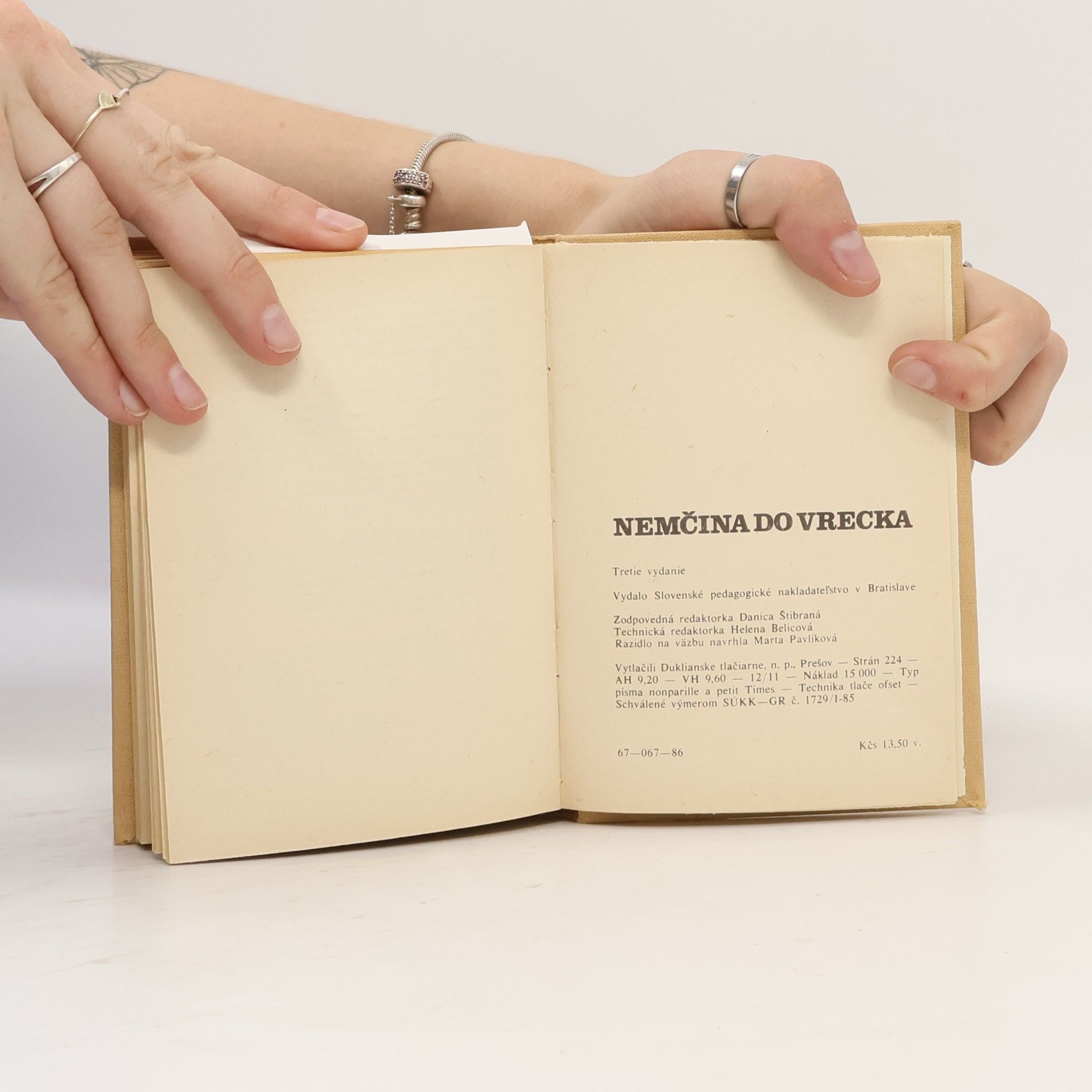 Autorenkollektiv Nemčina do vrecka