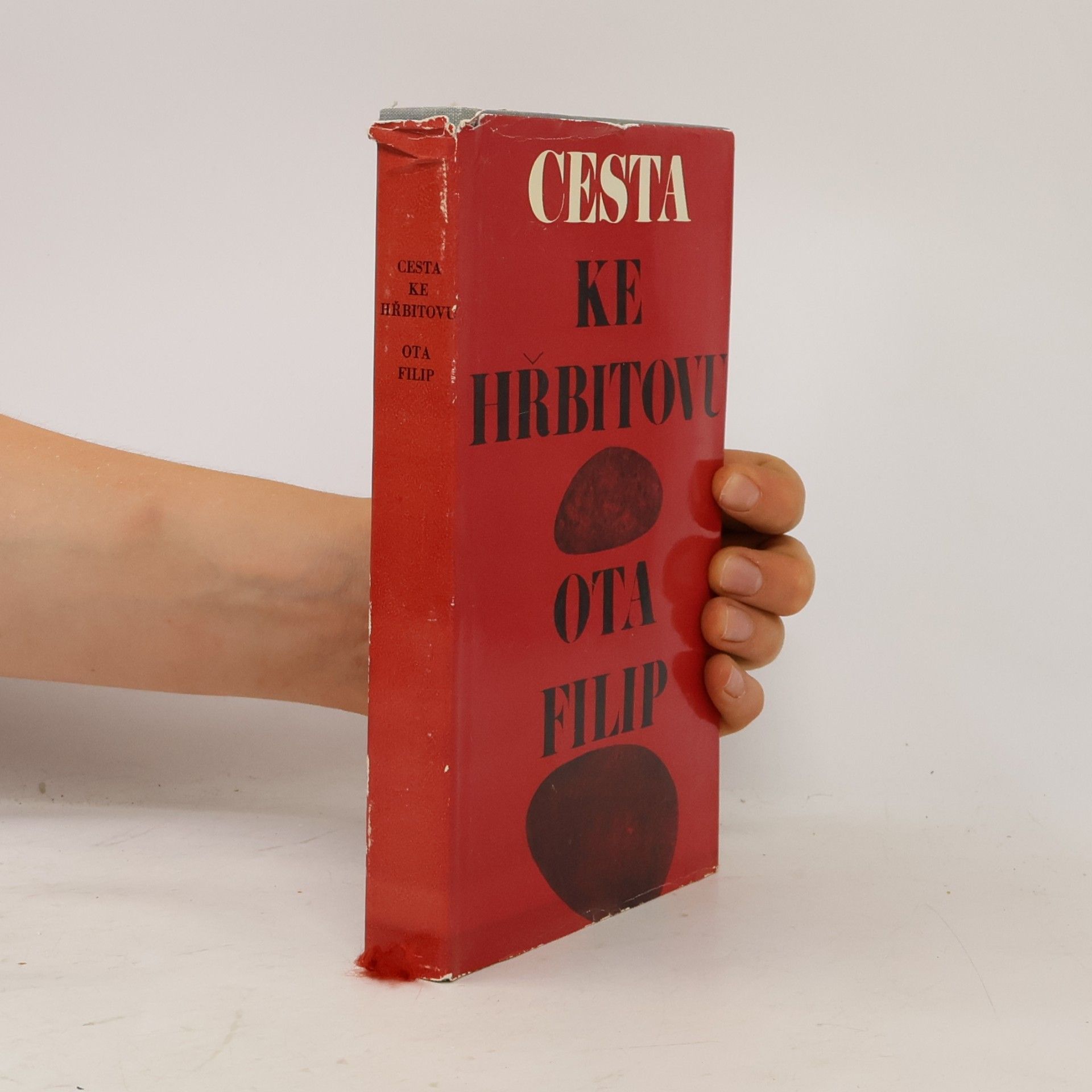Ota Filip Cesta ke hřbitovu