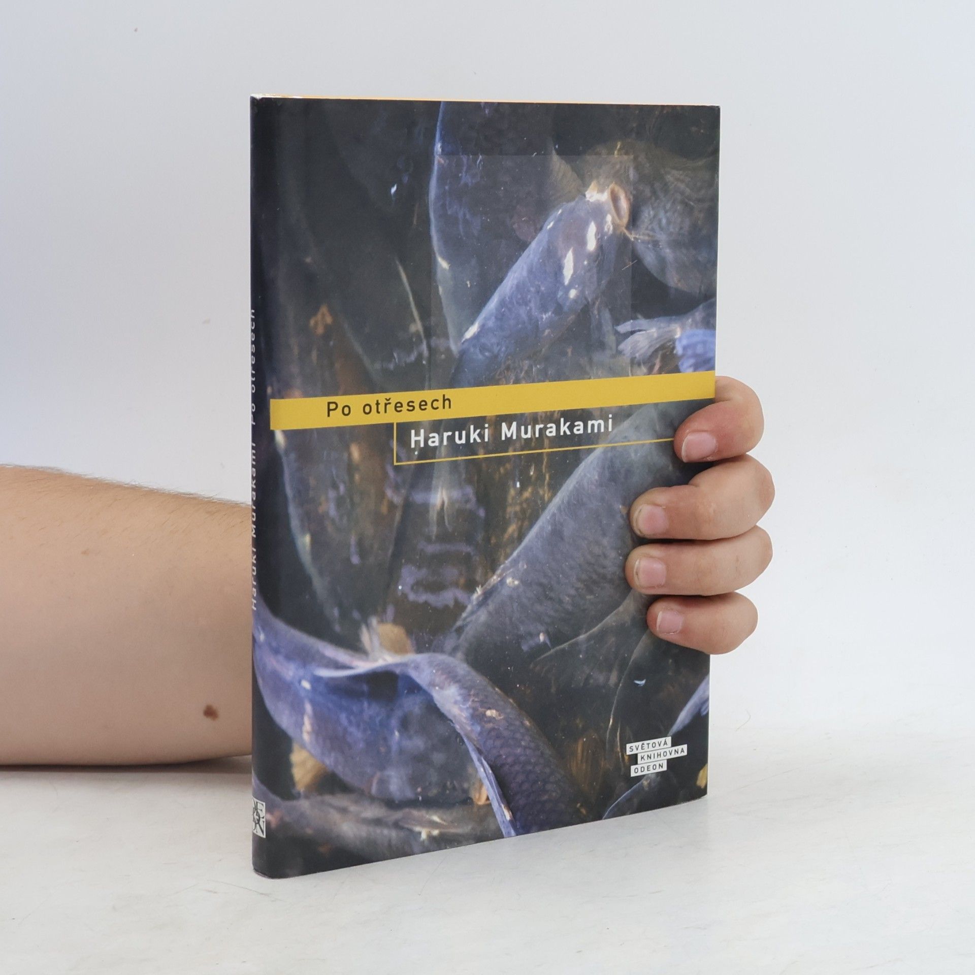 Haruki Murakami Po otřesech