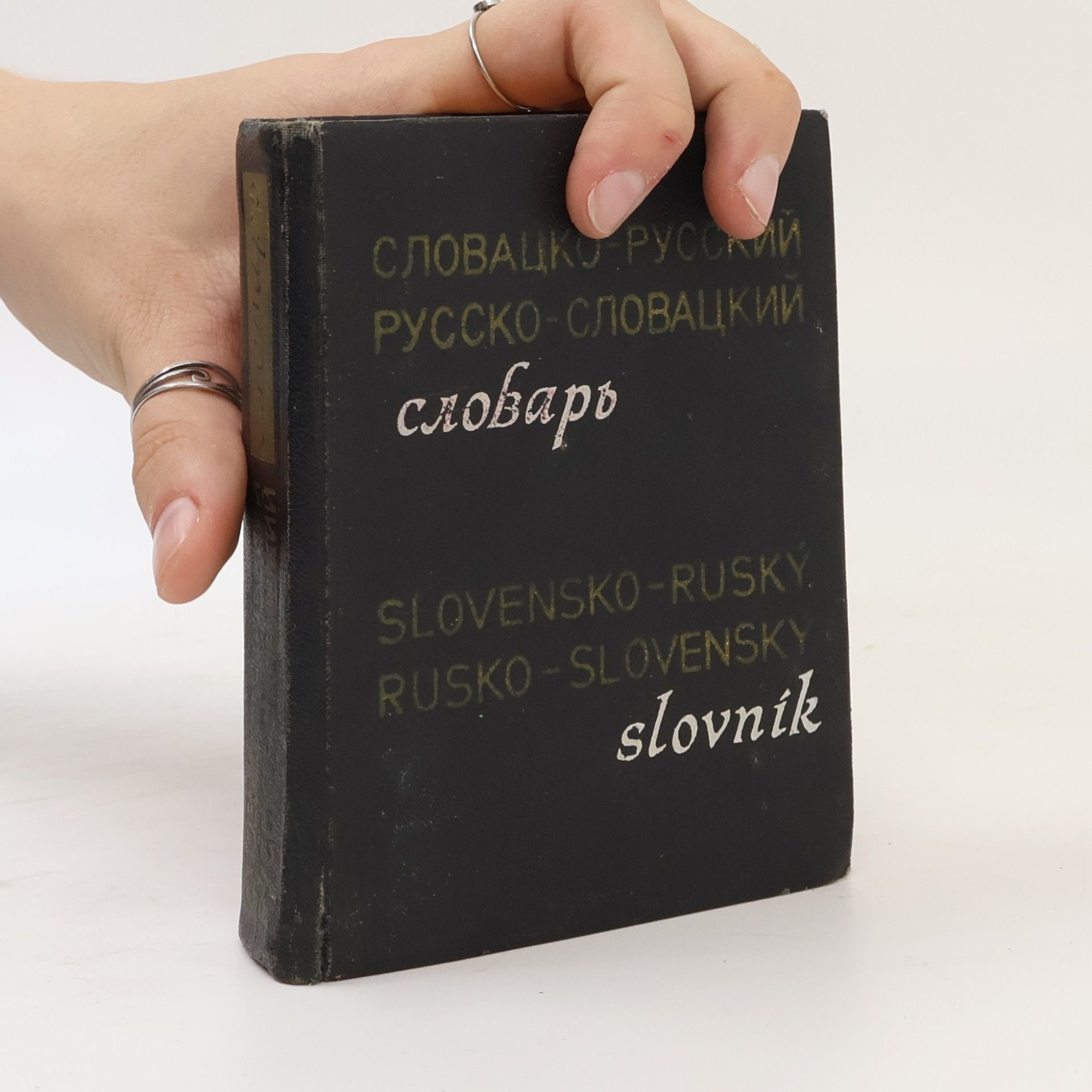 Autorenkollektiv Vreckový slovensko-ruský a rusko-slovenský slovník / Карманный словацко-русский и русско-словацкий словарь