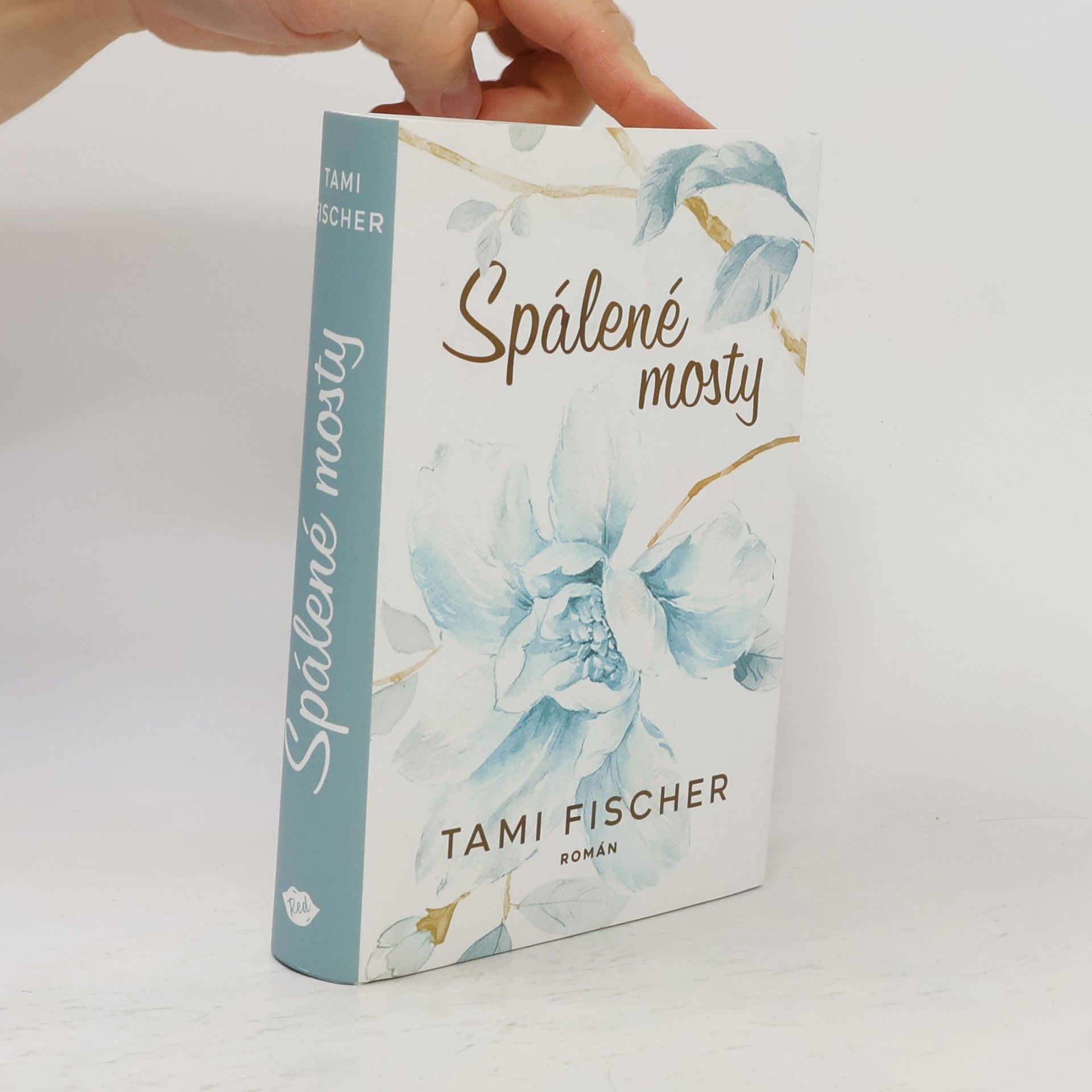 Tami Fischer Spálené mosty