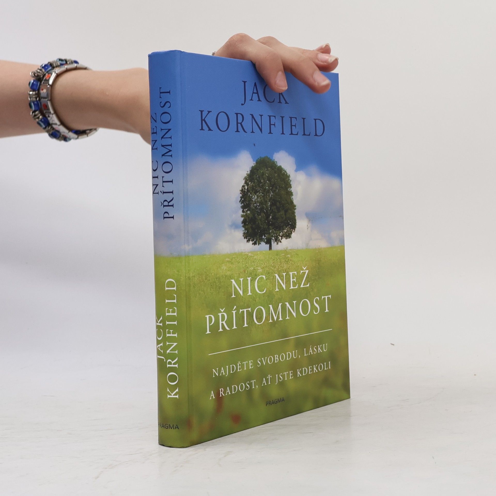 Jack Kornfield Nic než přítomnost