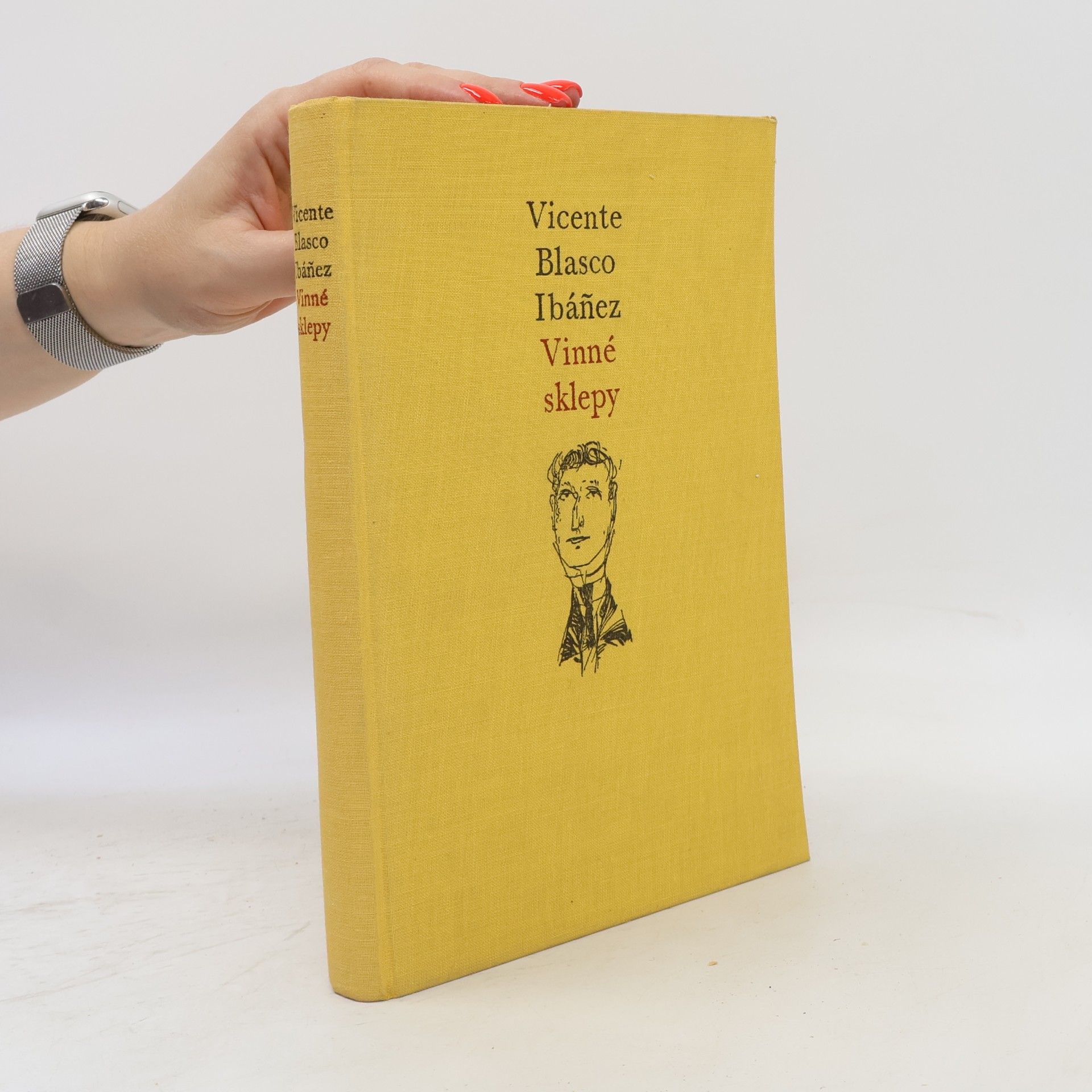 Vincente Blasco Ibánez Vinné sklepy