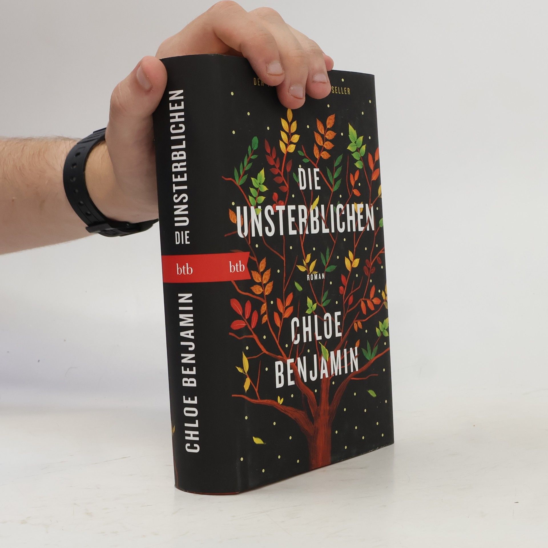 Chloe Benjamin Die Unsterblichen