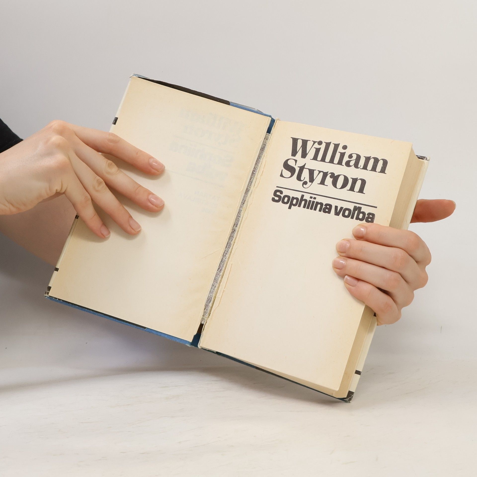 William Styron Sophiina voľba