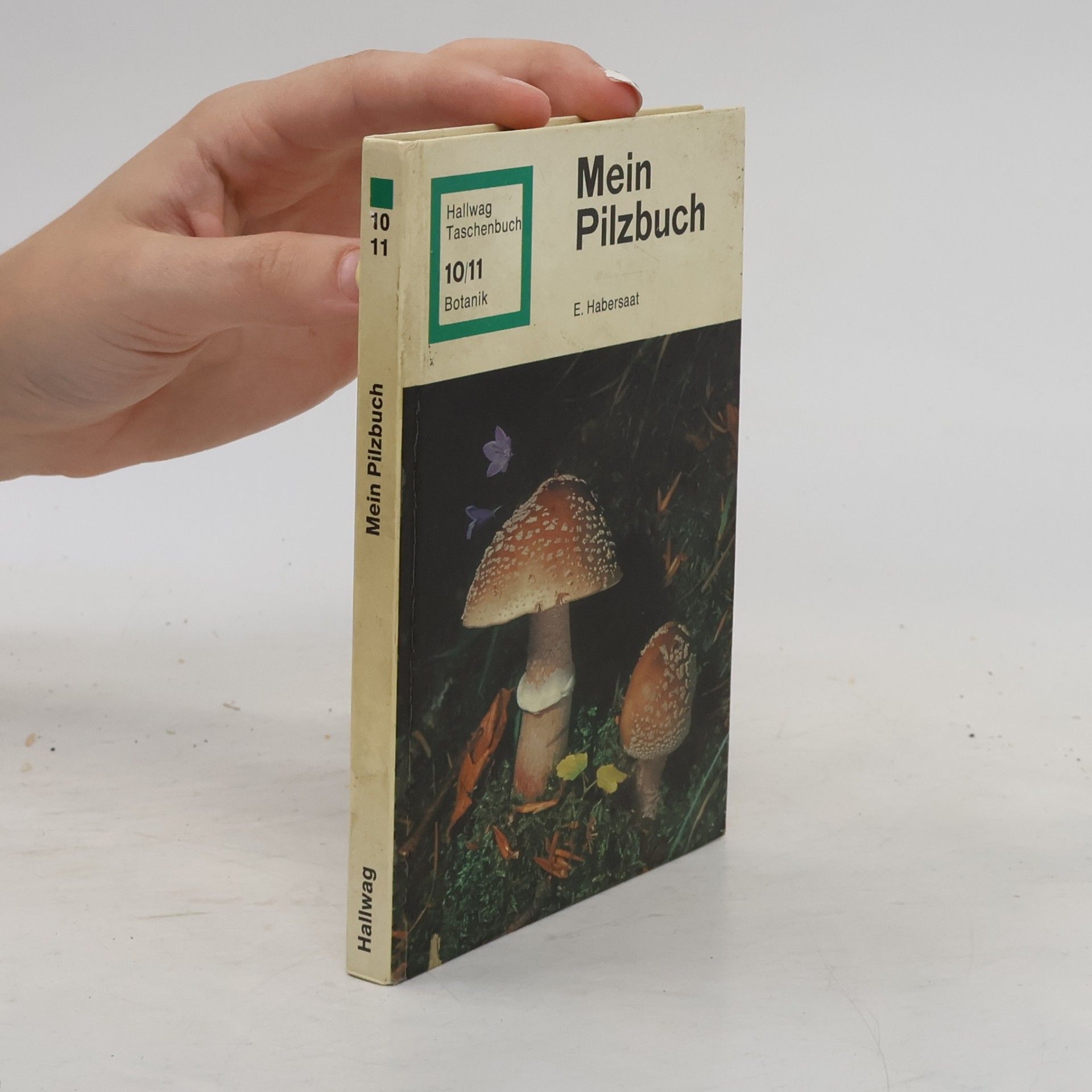 Ernst Habersaat Mein Pilzbuch