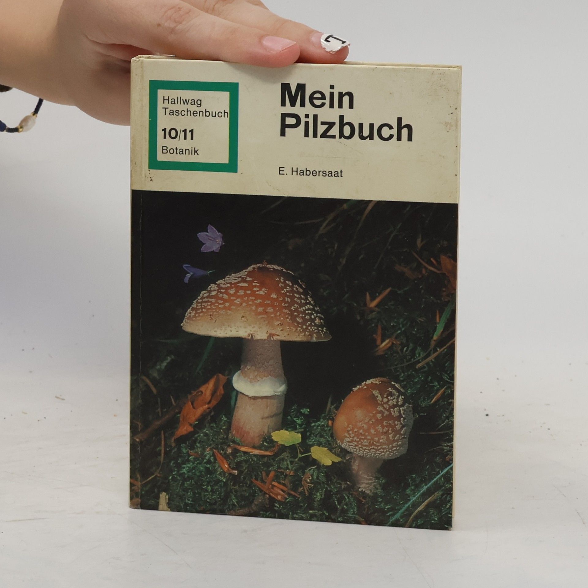Ernst Habersaat Mein Pilzbuch