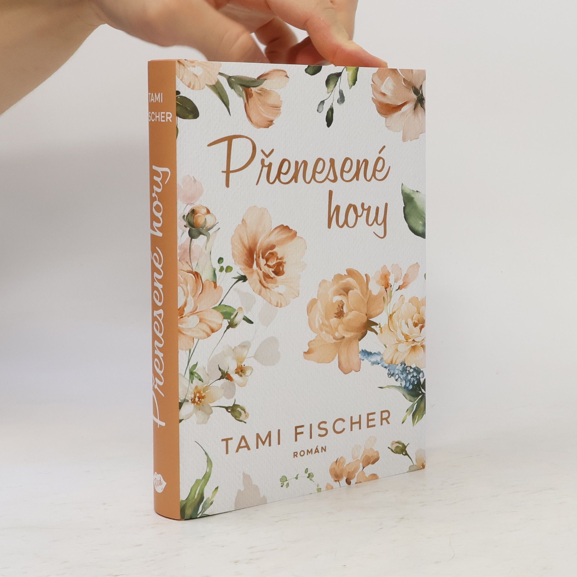 Tami Fischer Přenesené hory