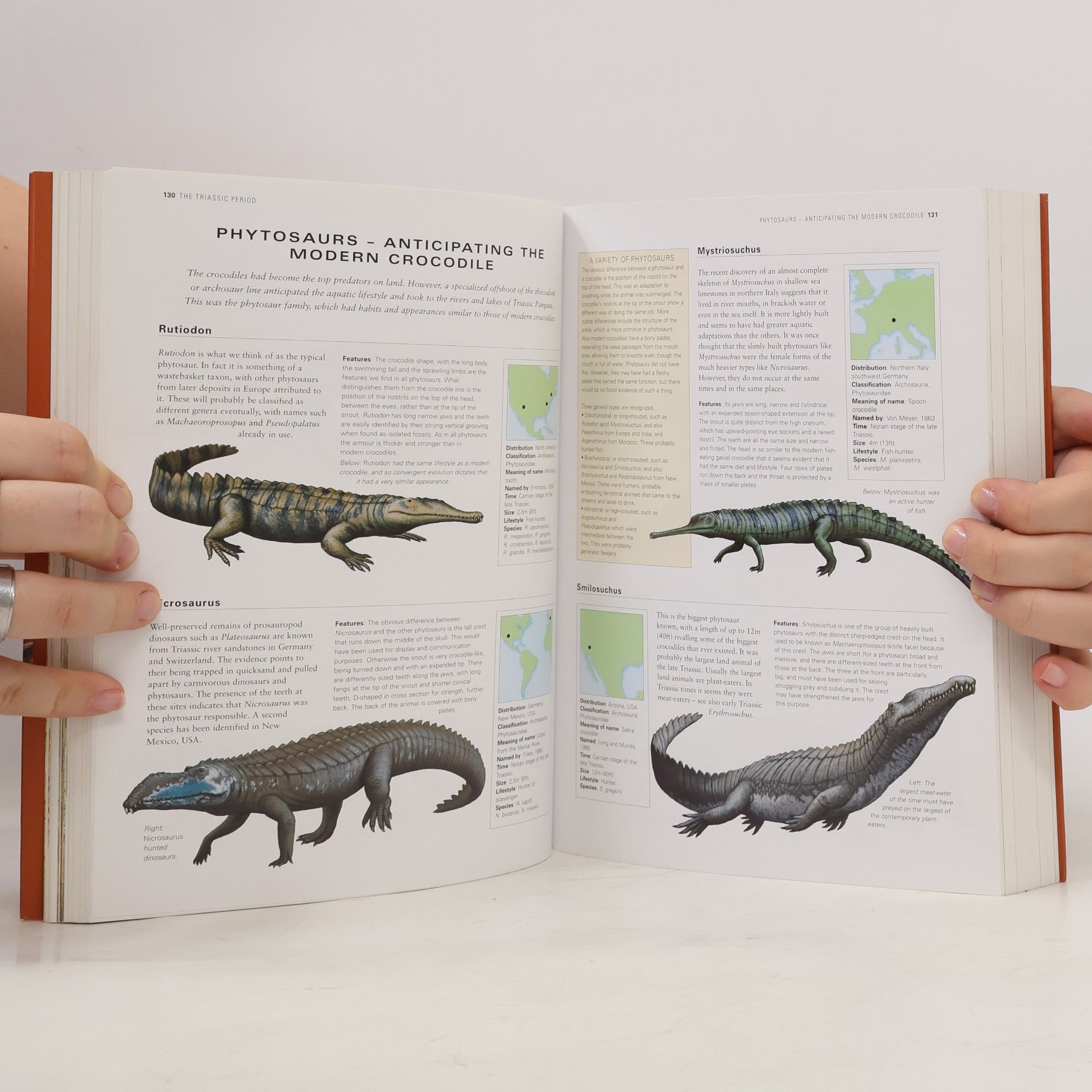 Dougal Dixon Dinosaurs & Prehistoric Creatures