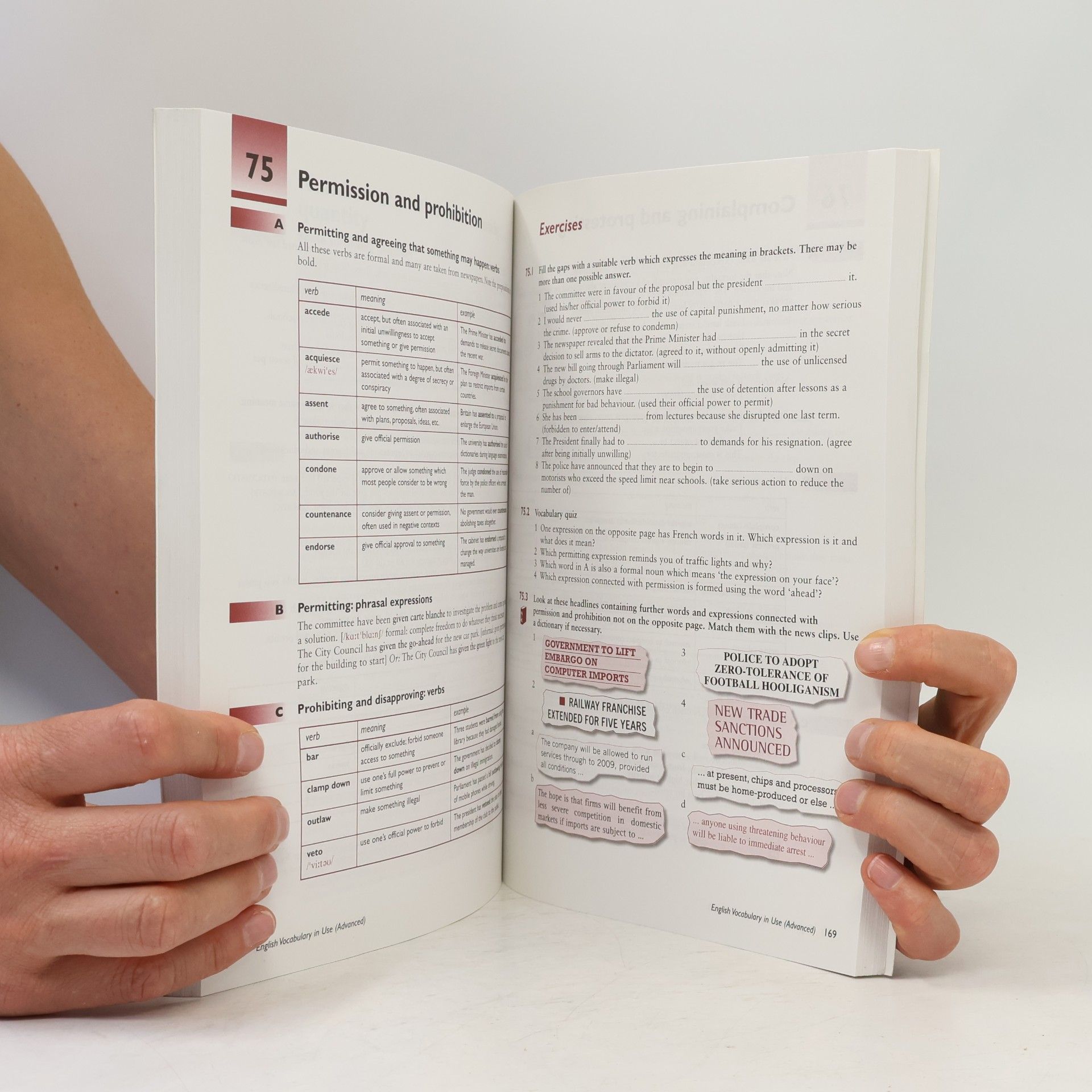 Michael McCarthy English Vocabulary in Use: Advanced
