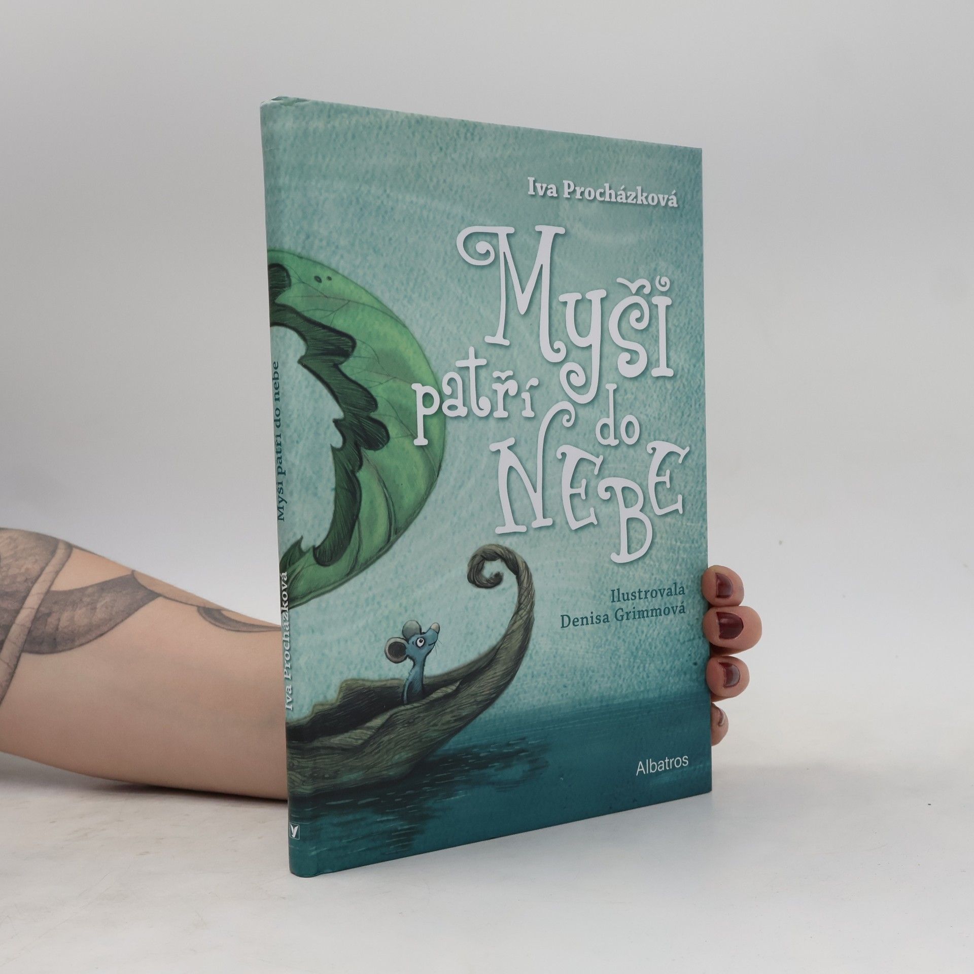 Iva Prochàzkovà Myši patří do nebe