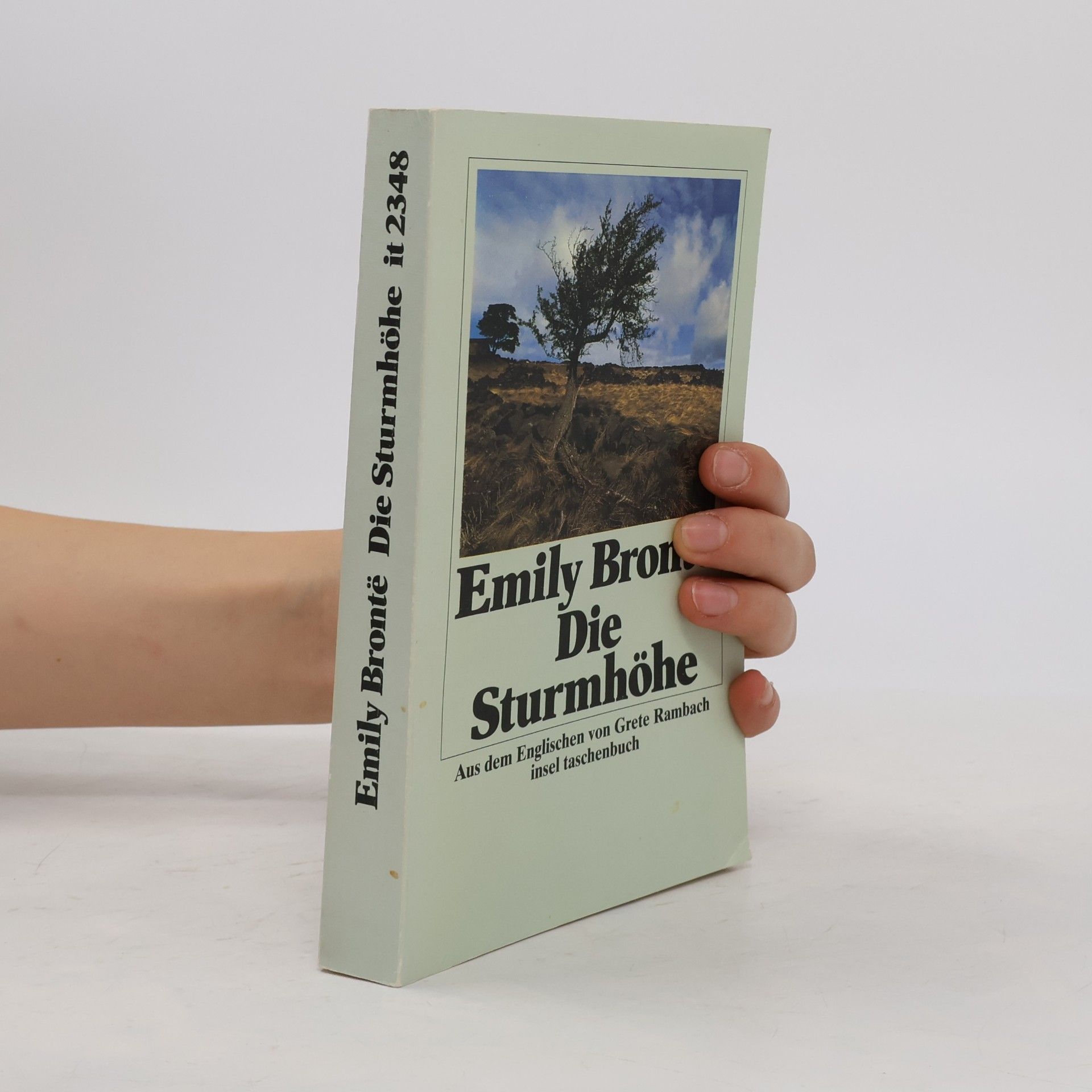 Collectif d'auteurs Die Sturmhöhe