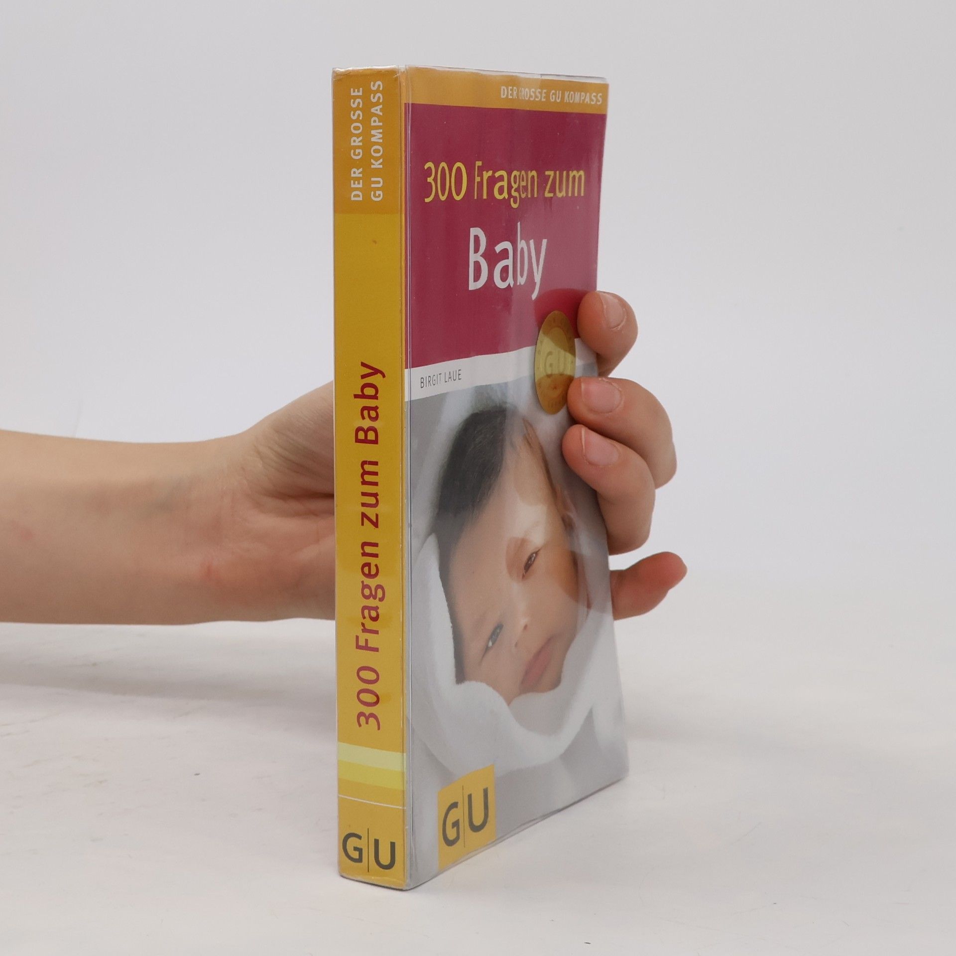 Birgit Laue 300 Fragen zum Baby