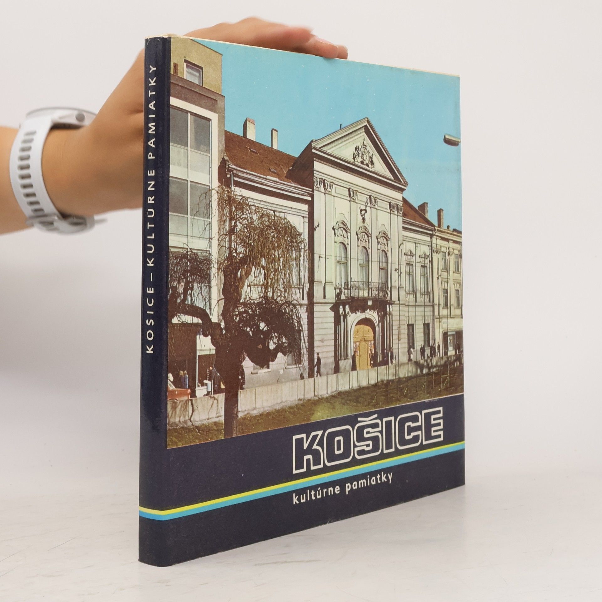 Alexander Frický Košice, kultúrne pamiatky