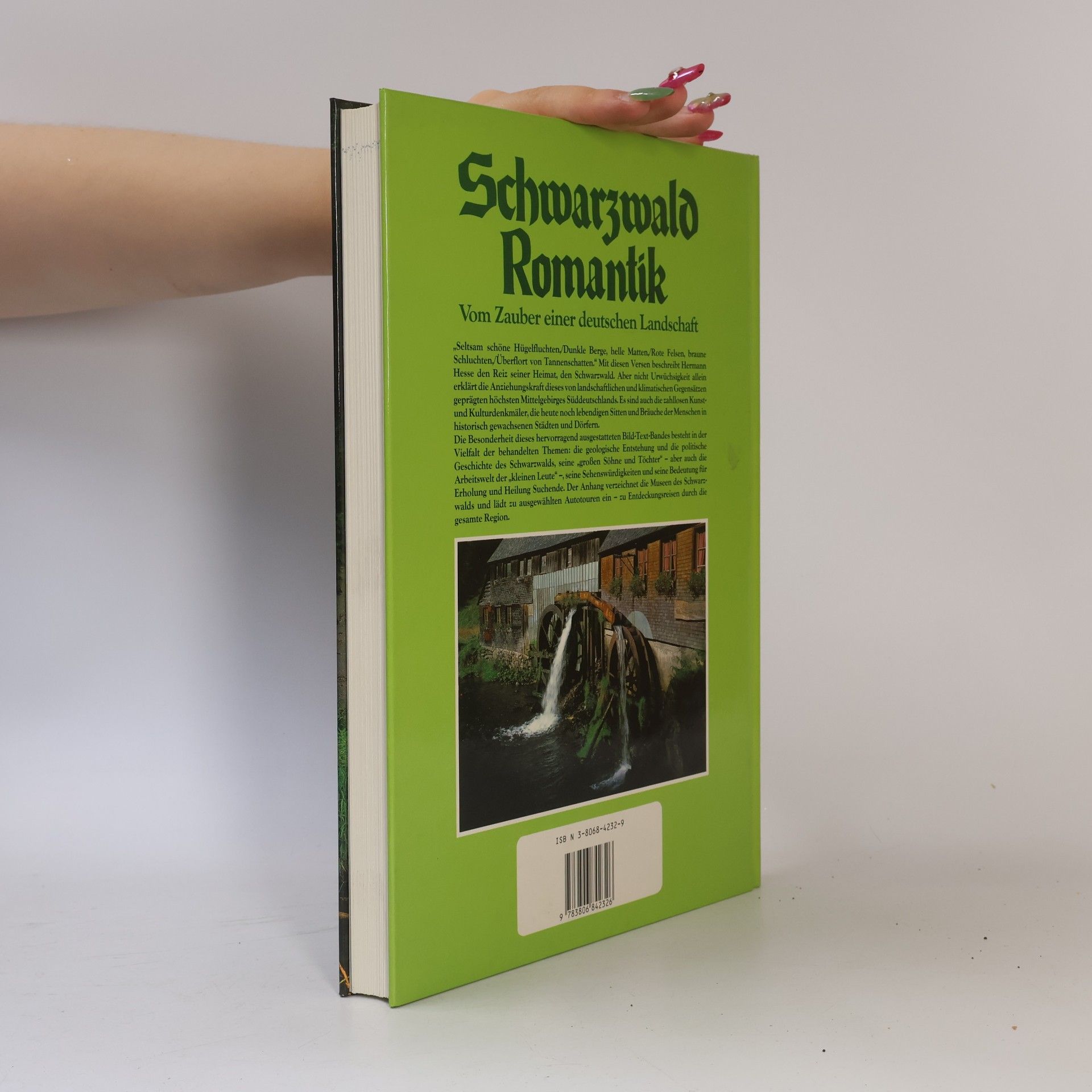 Anita Rolf Schwarzwald-Romantik