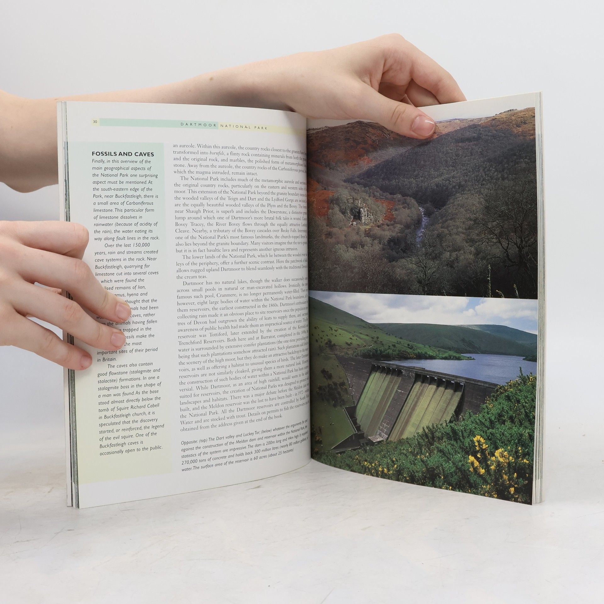 Richard Sale Dartmoor. The Official National Park Guide