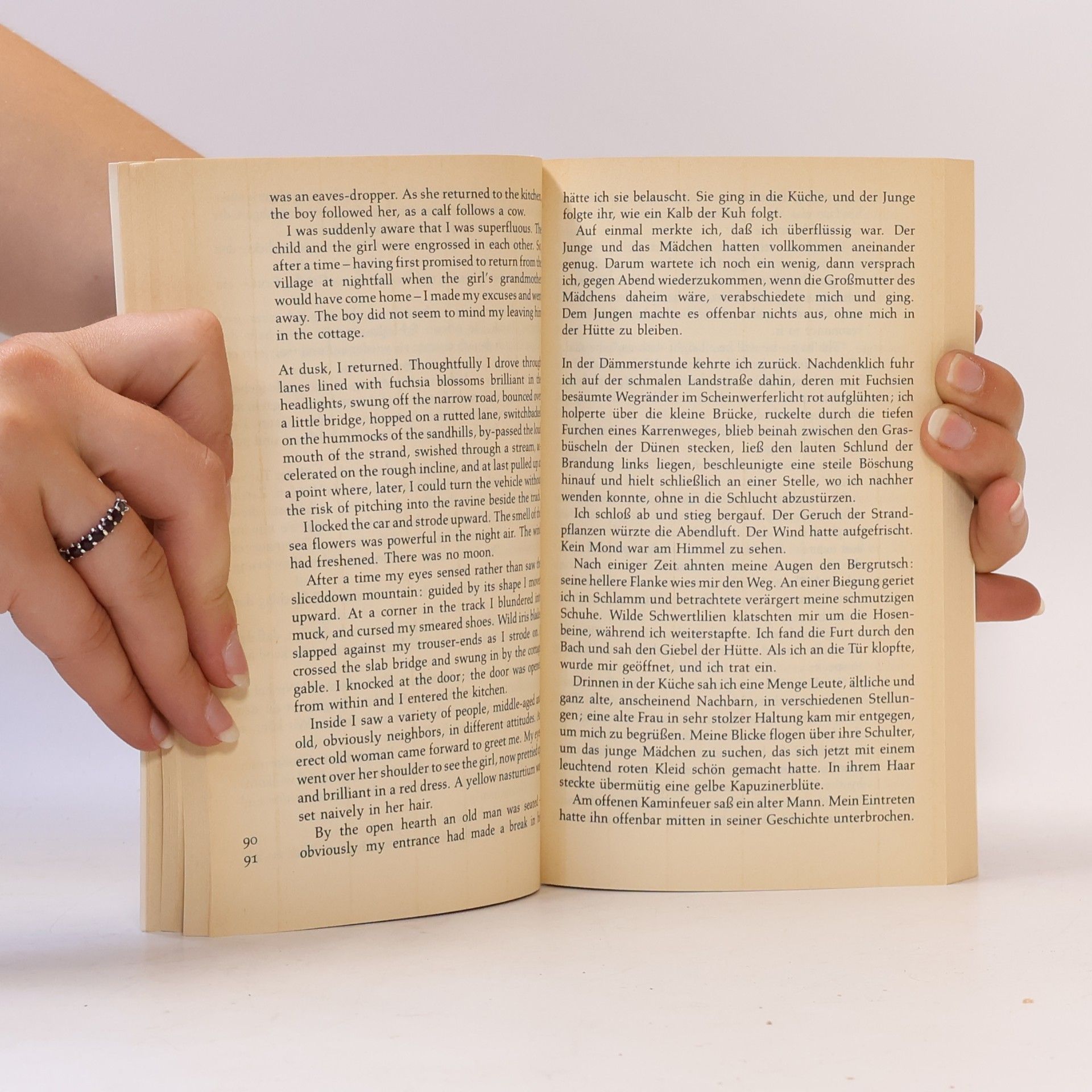 Elizabeth Bowen Dtv zweisprachig: Irish Stew