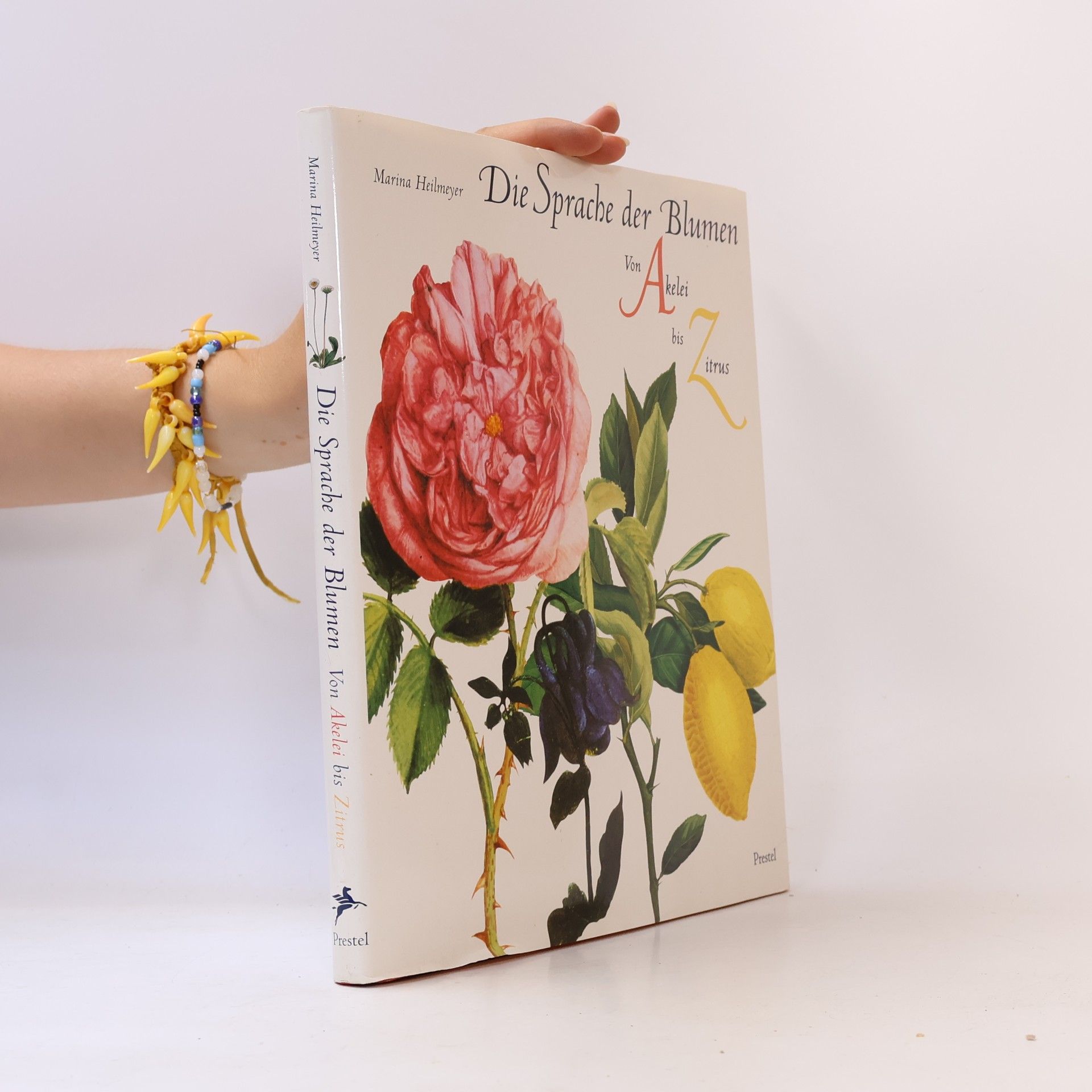Marina Heilmeyer Die Sprache der Blumen