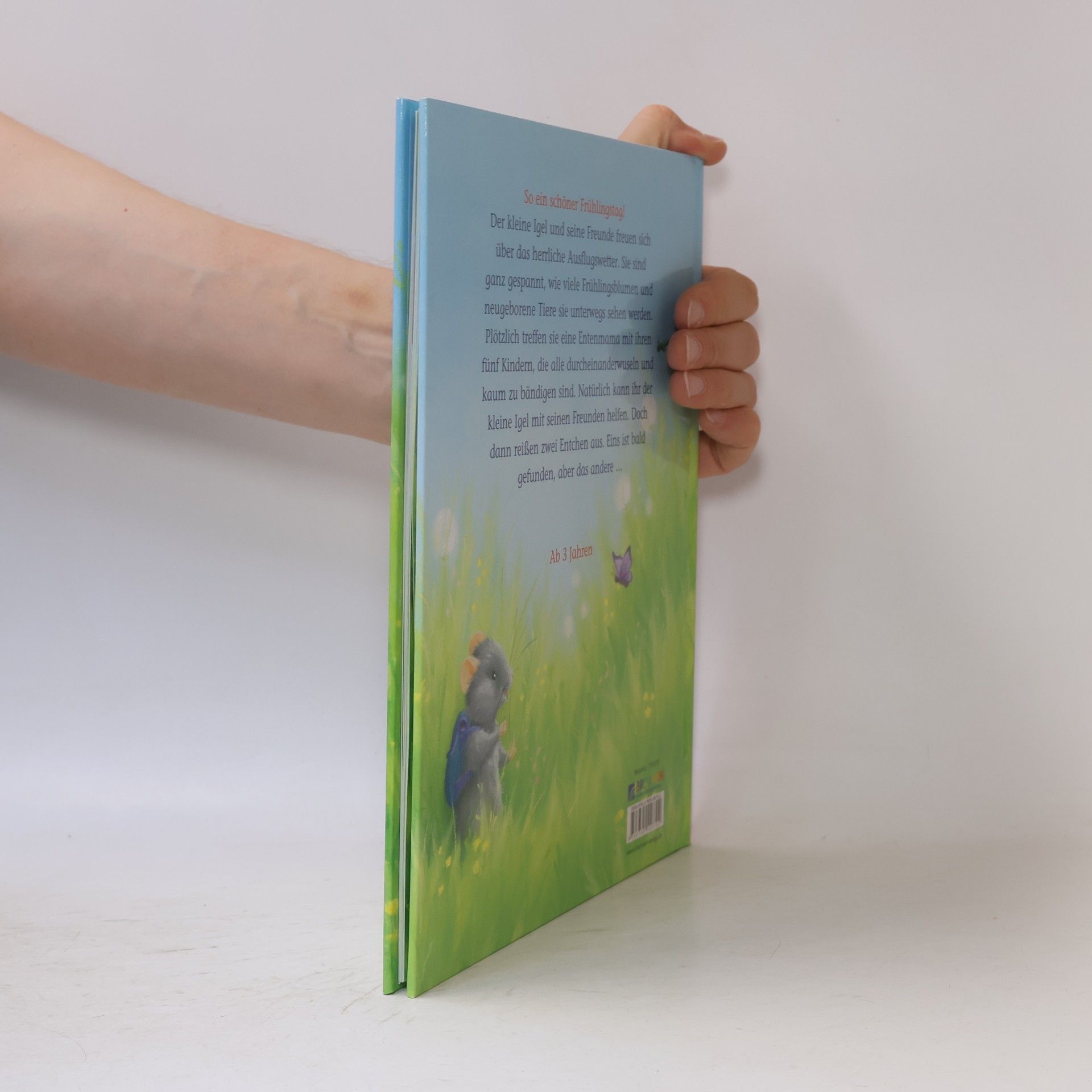 Christina M. Butler Der kleine Igel und das verlorene Entchen