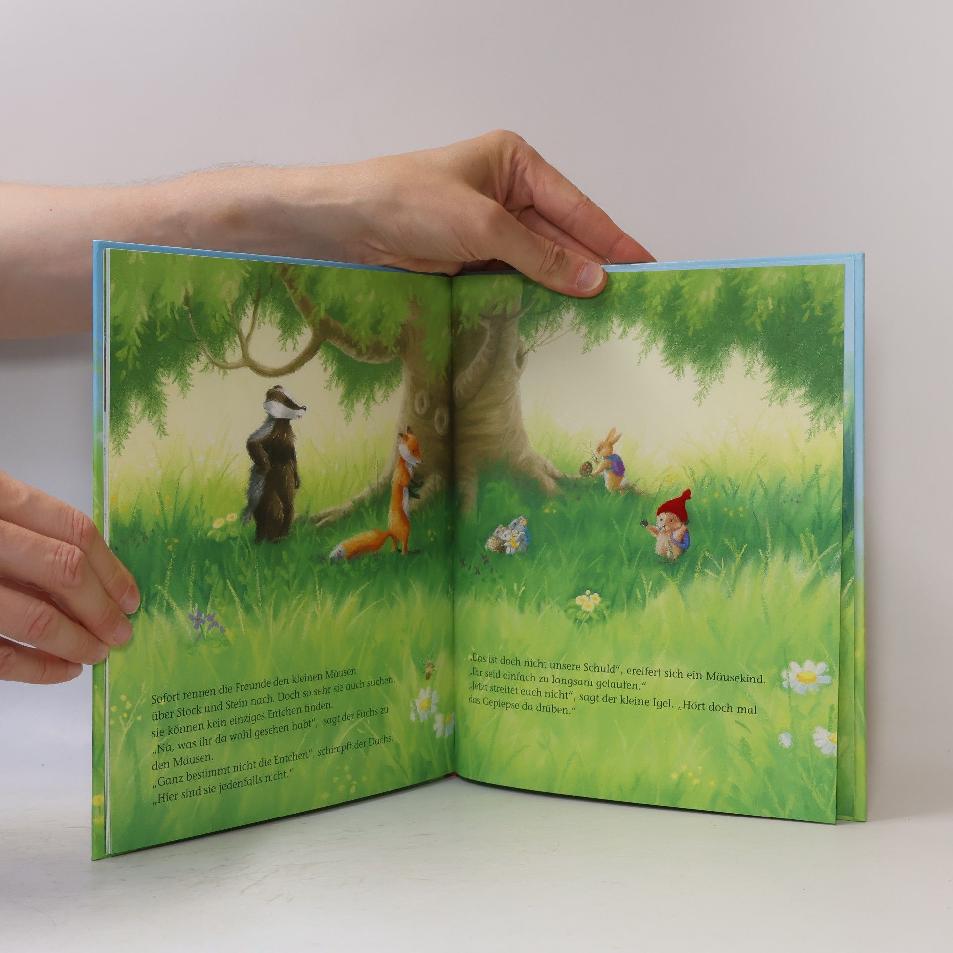 Christina M. Butler Der kleine Igel und das verlorene Entchen