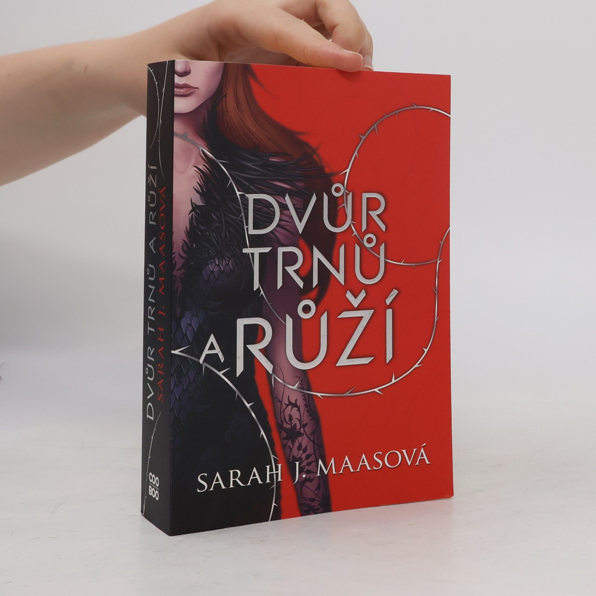 Sarah J. Maas Dvůr trnů a růží