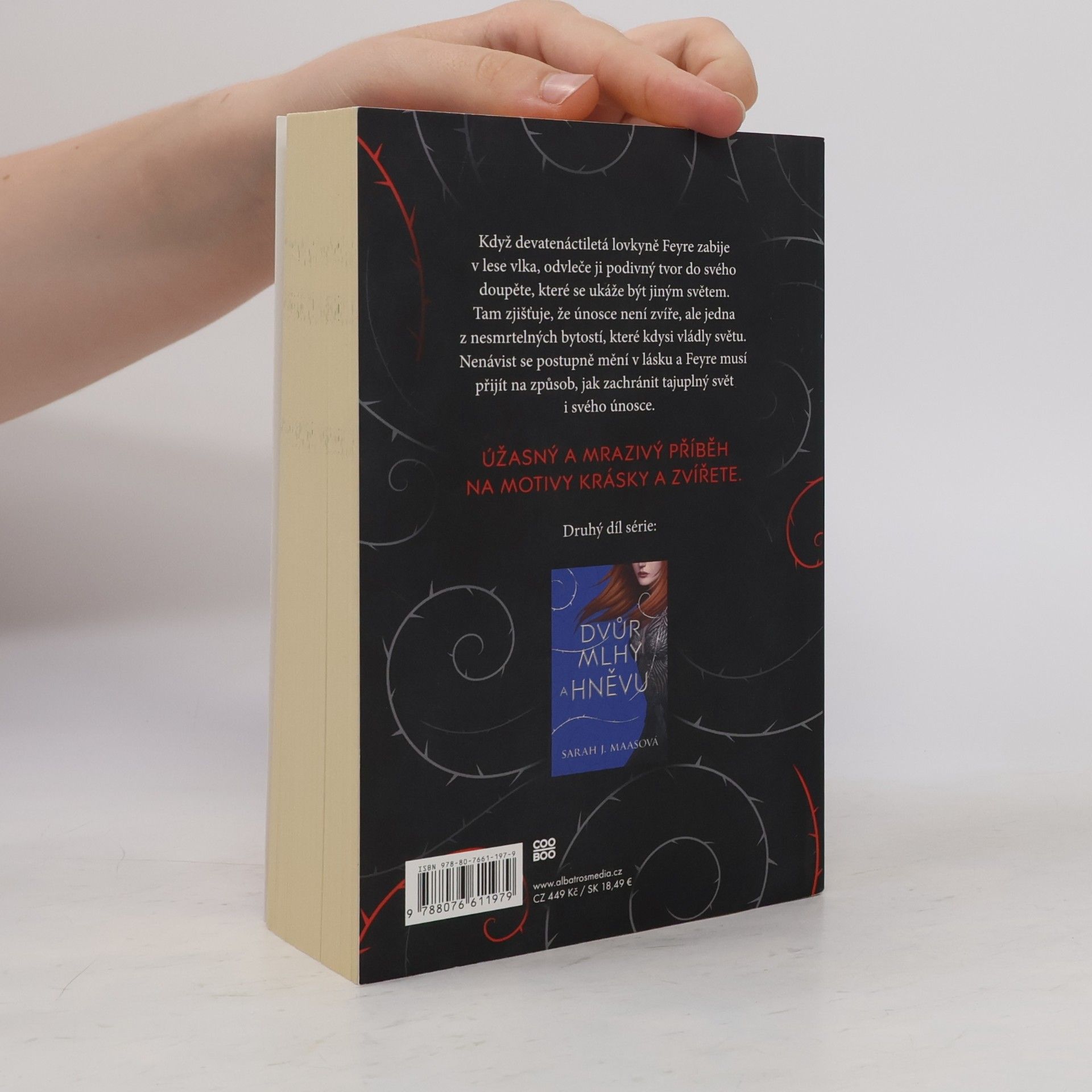 Sarah J. Maas Dvůr trnů a růží