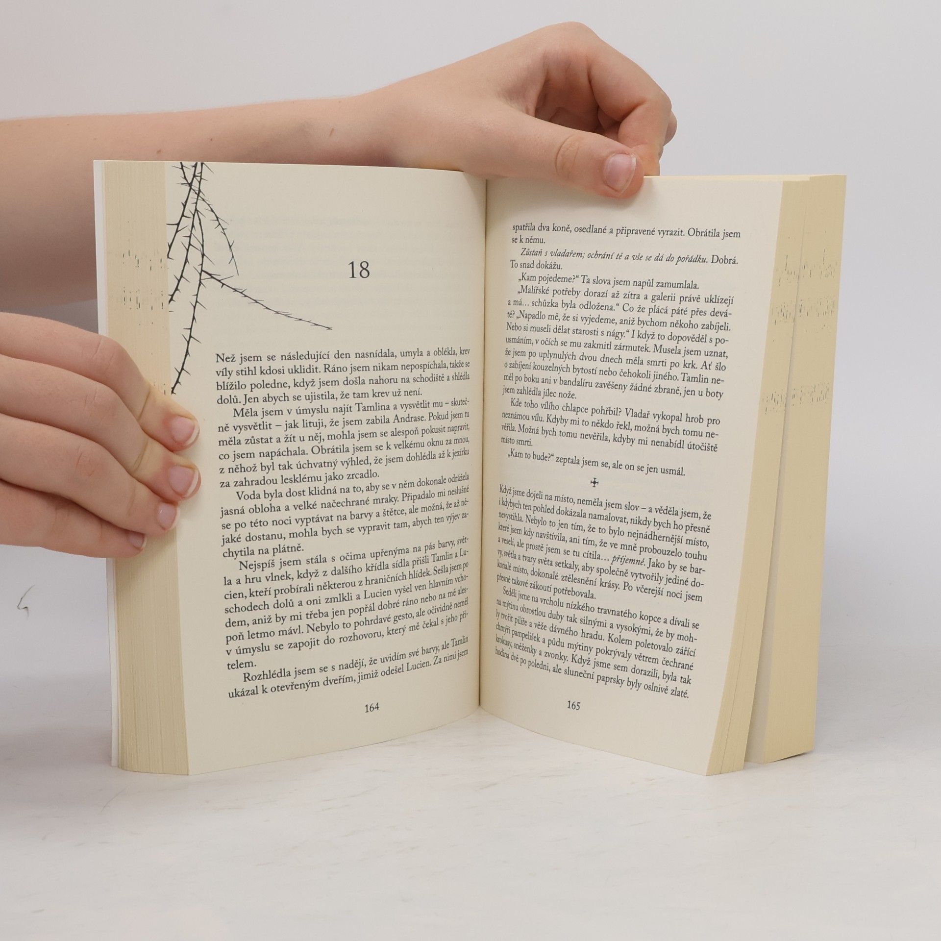 Sarah J. Maas Dvůr trnů a růží