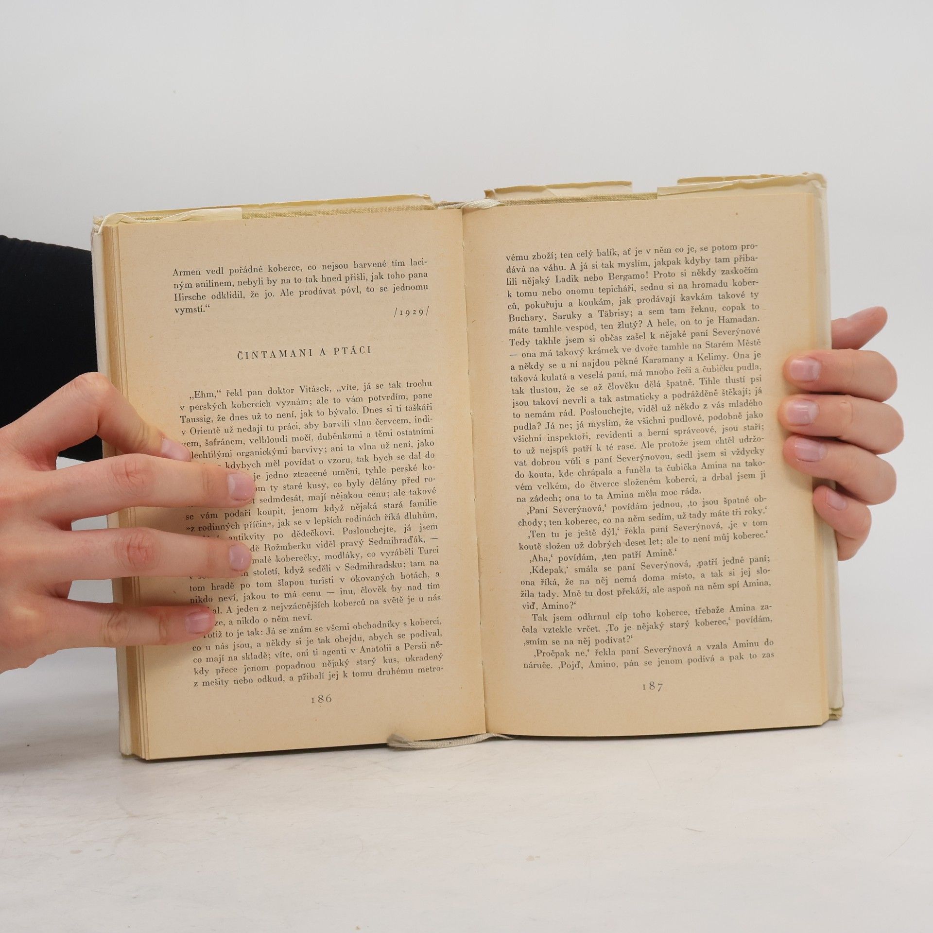 Karel Čapek 5x Karel Čapek