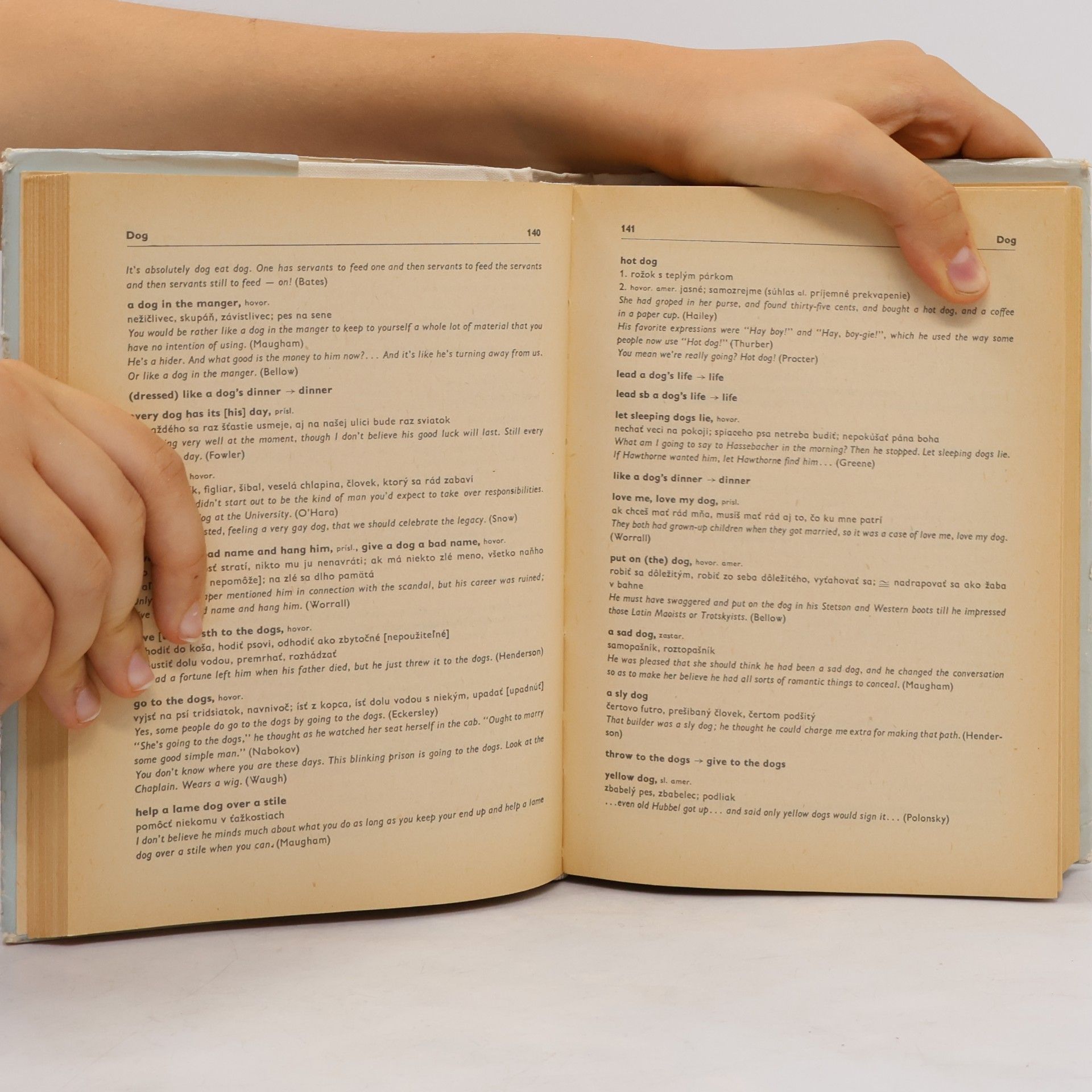 Autorenkollektiv Anglicko-slovenský frazeologický slovník